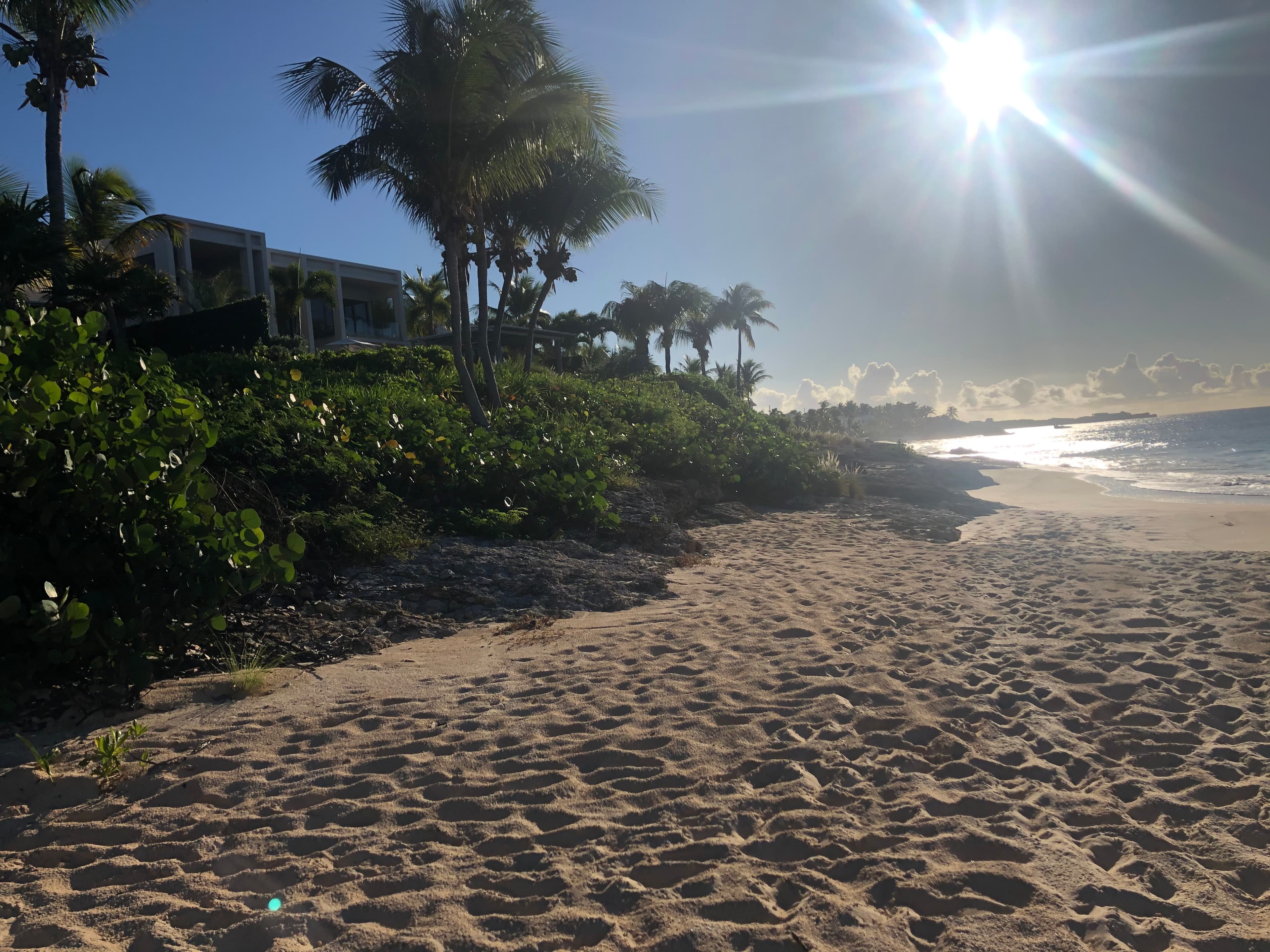 View of an empty beach and nearby palms on a sunny afternoon