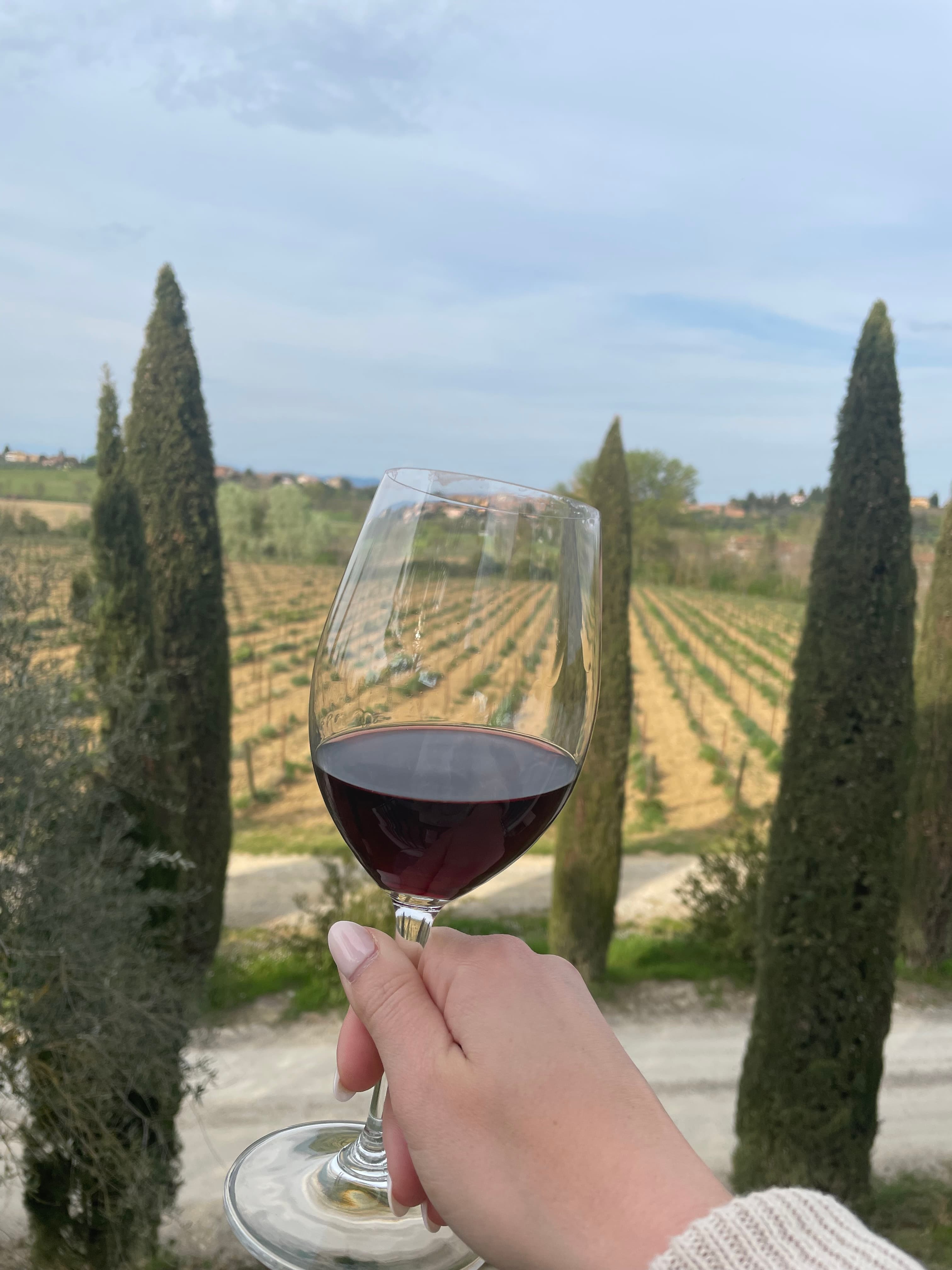 View of a hand holding a glass of red wine overlooking a vineyard on a sunny day