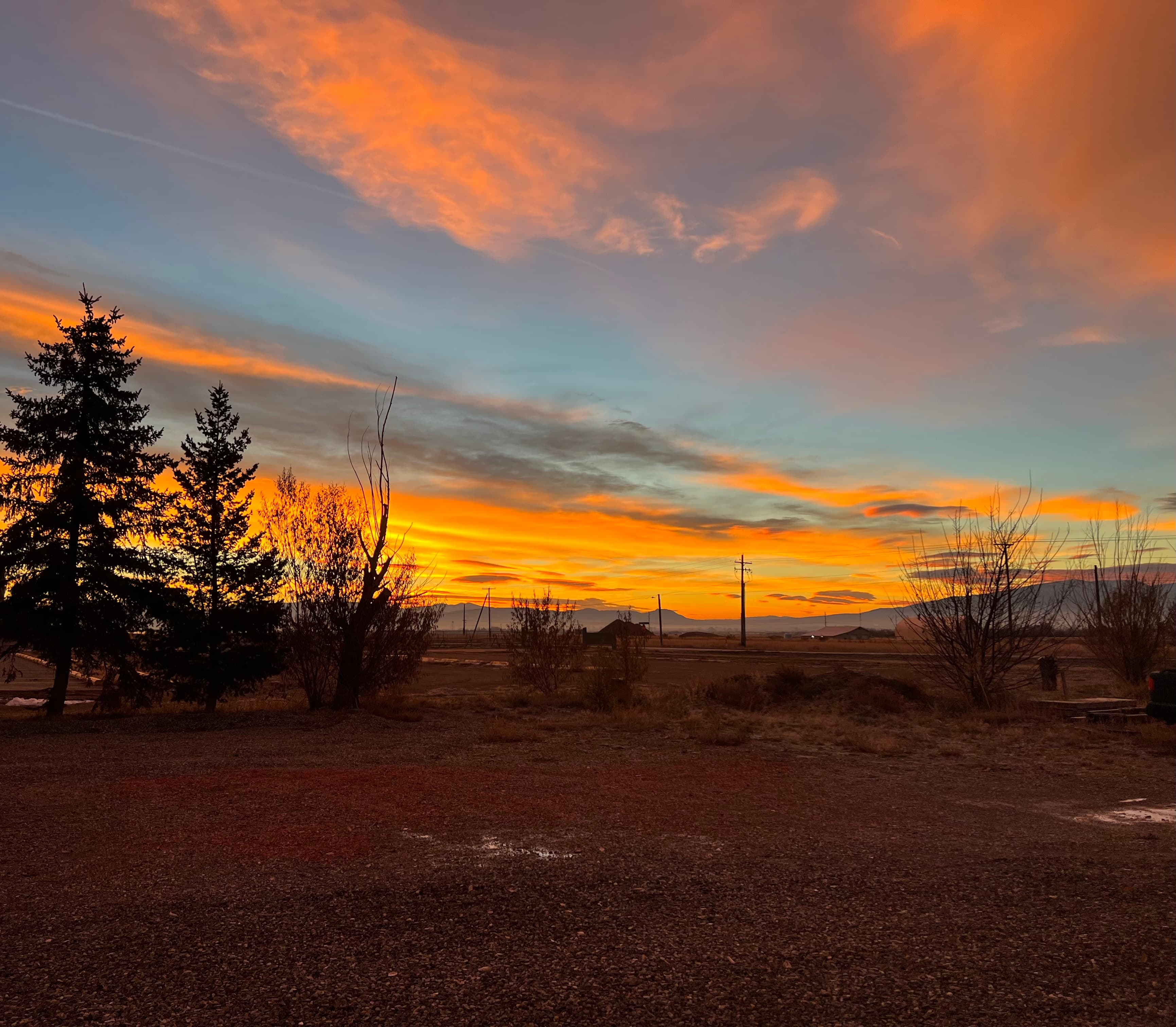 Sunset over the forest.