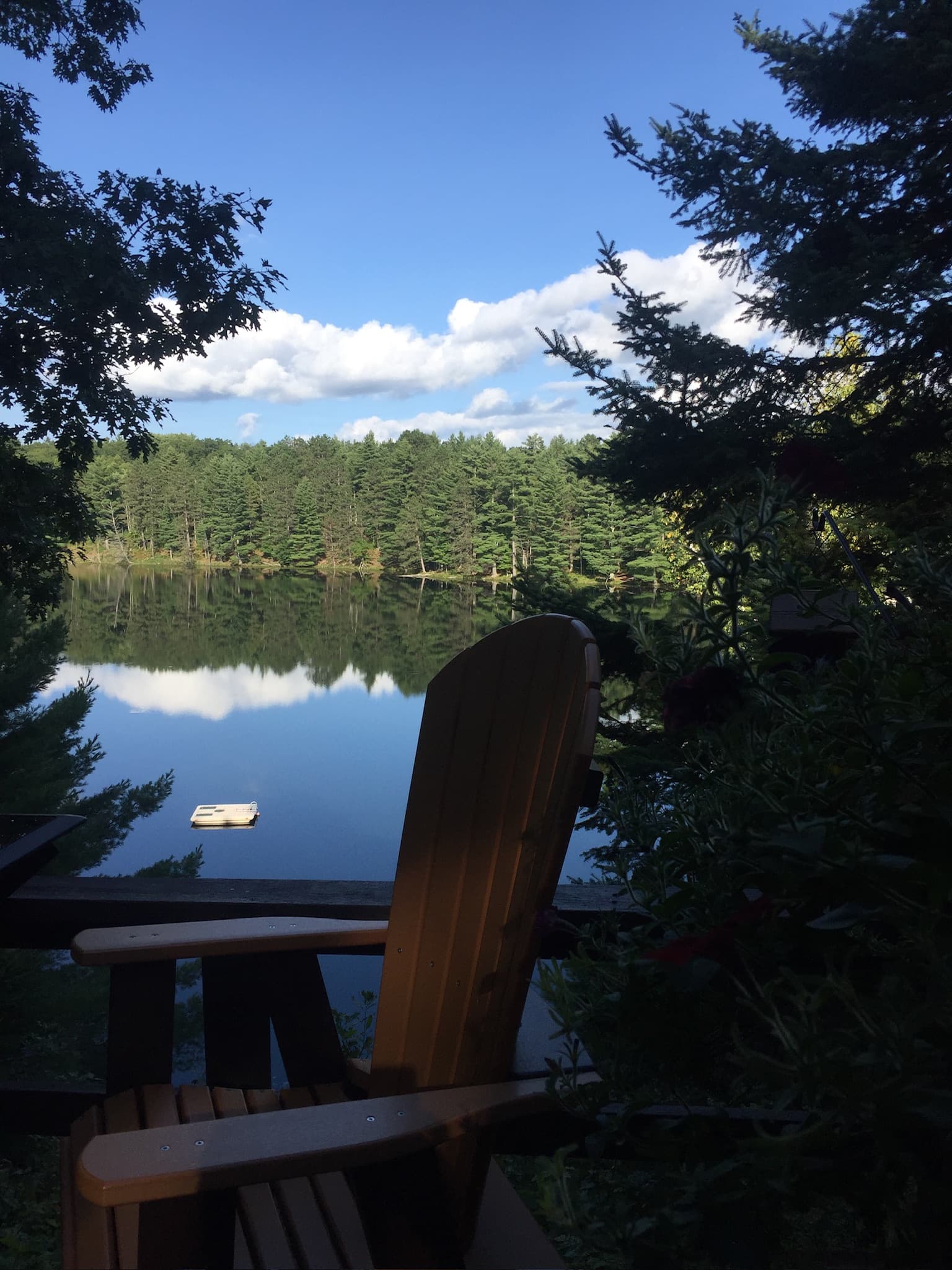 A view of a lake with foliage in the distance on a sunny day.