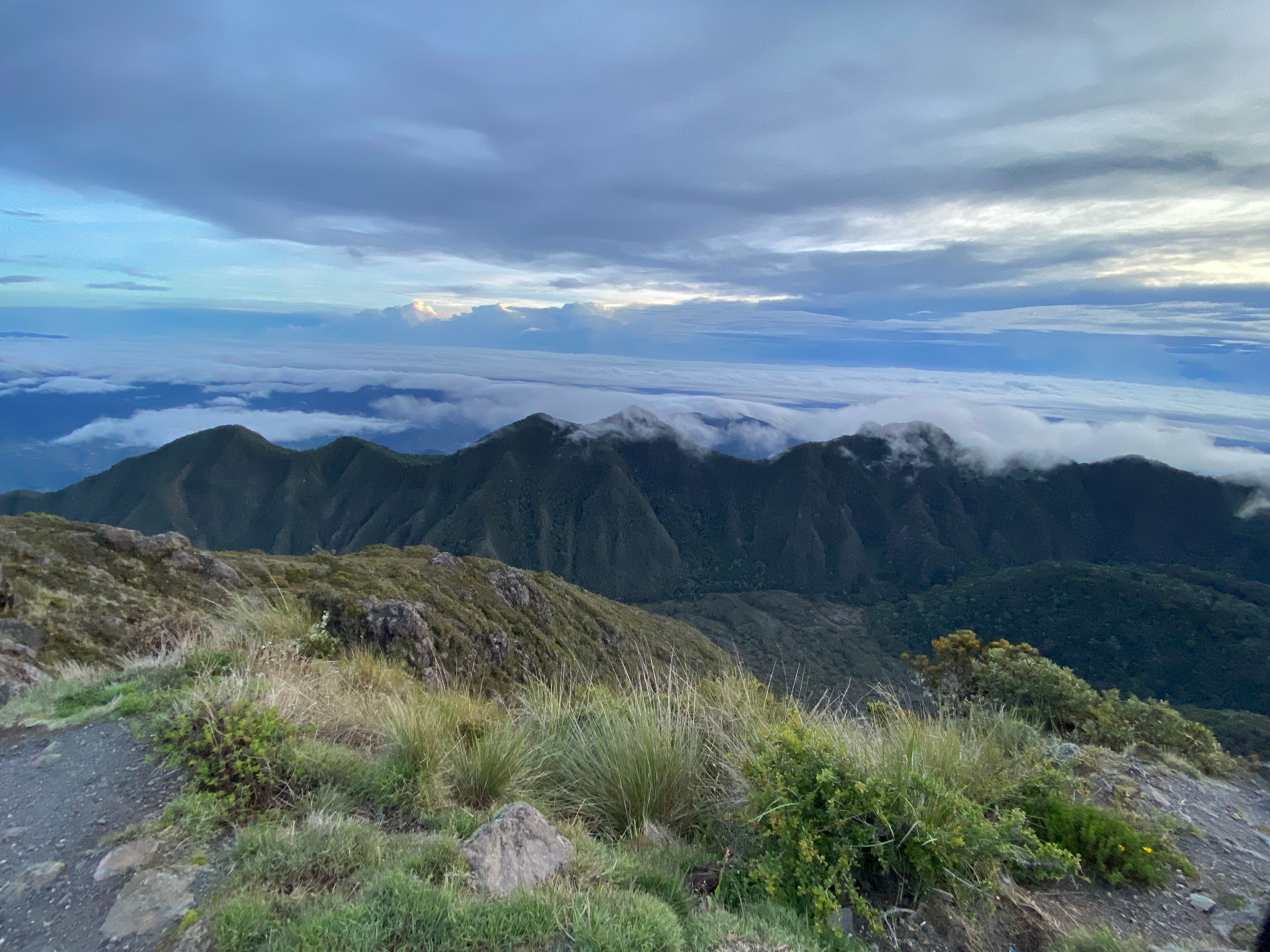 A view of nature at sunset.
