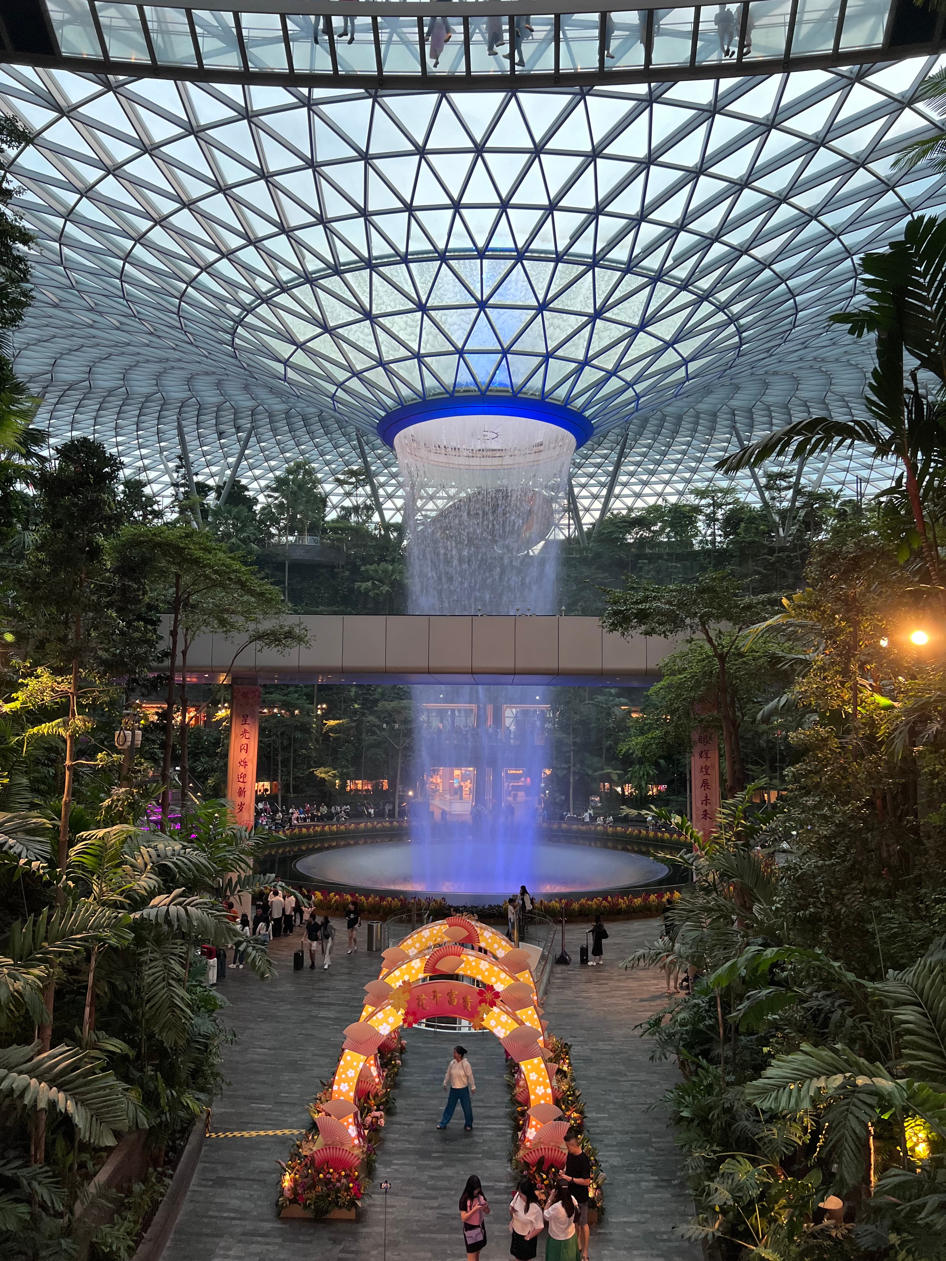Dense foliage reaches toward the ceiling of an enormous green house lit up on a clear day at dusk.