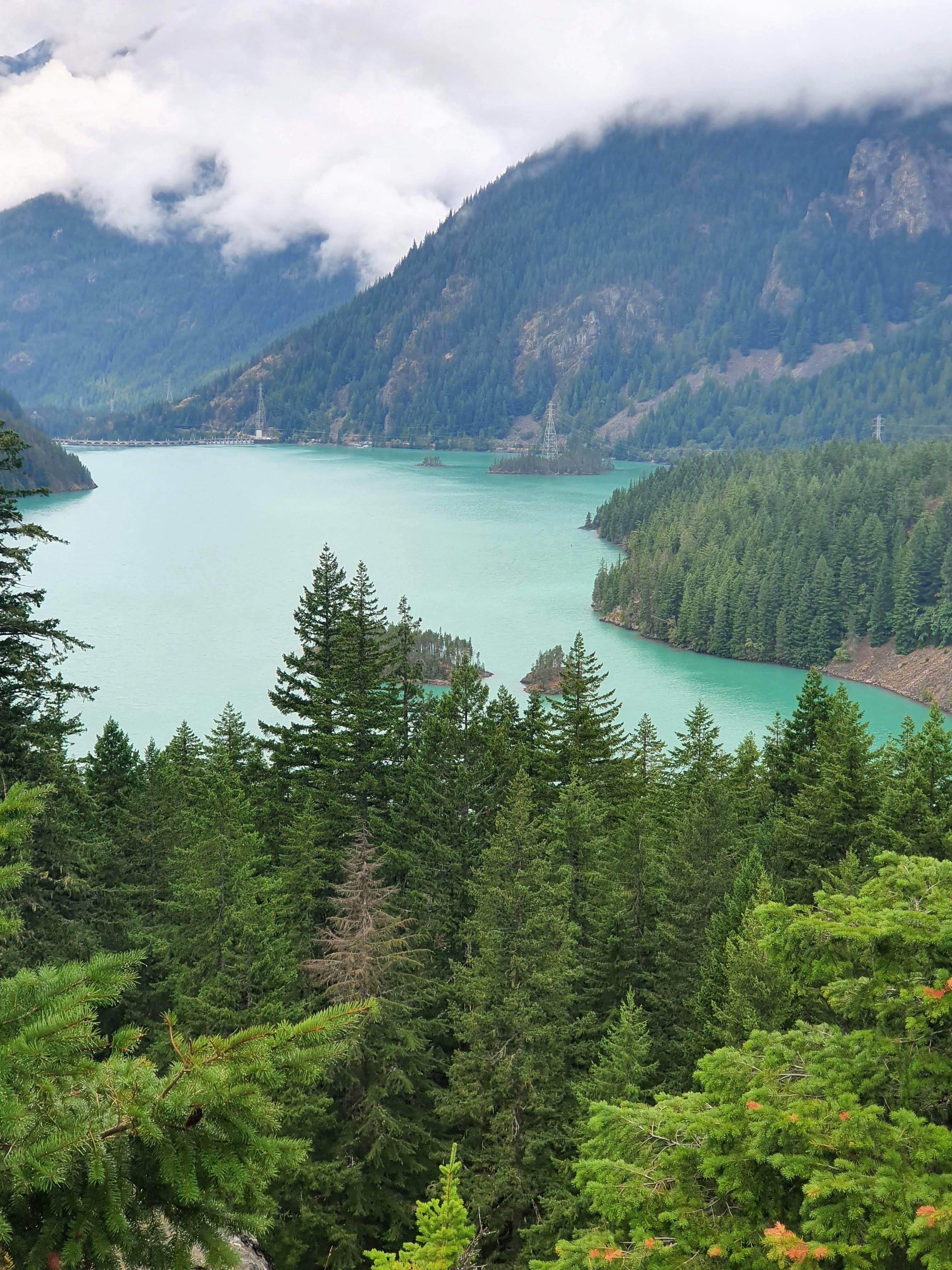 Trees by a blue lake.