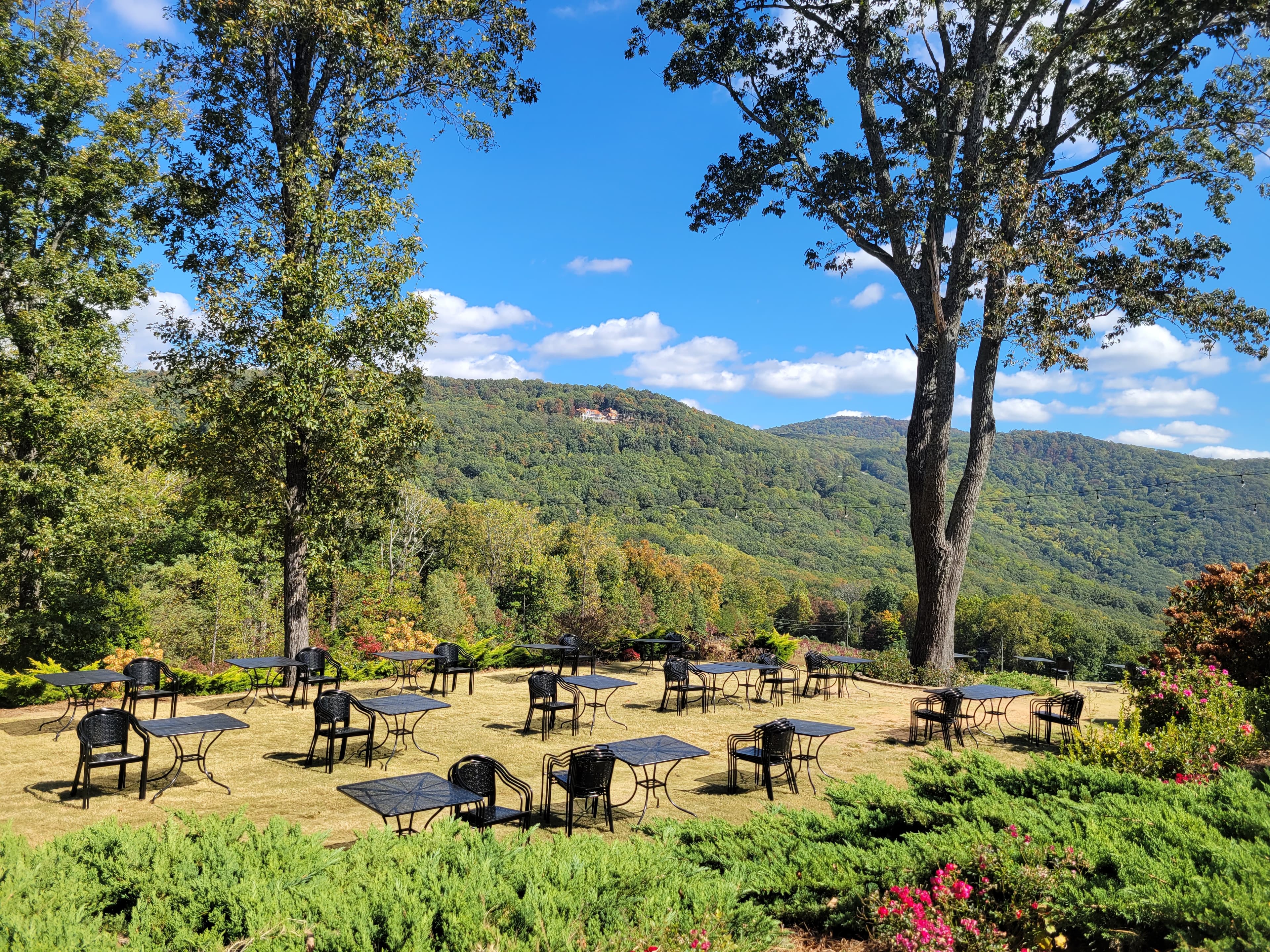 Green hills in the daytime.