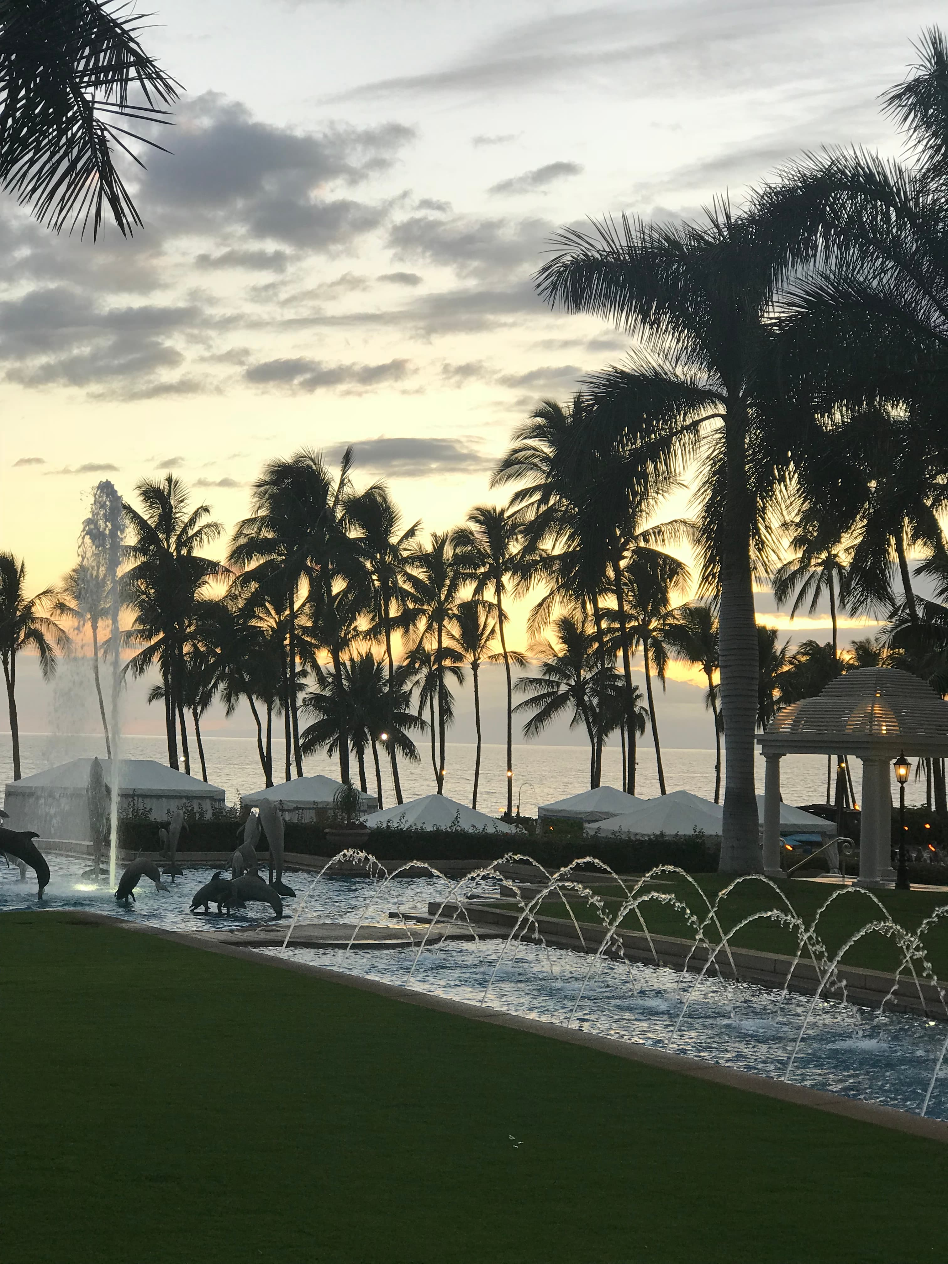 View of a rectangular fountain and palm trees at a resort on the sea at sunset