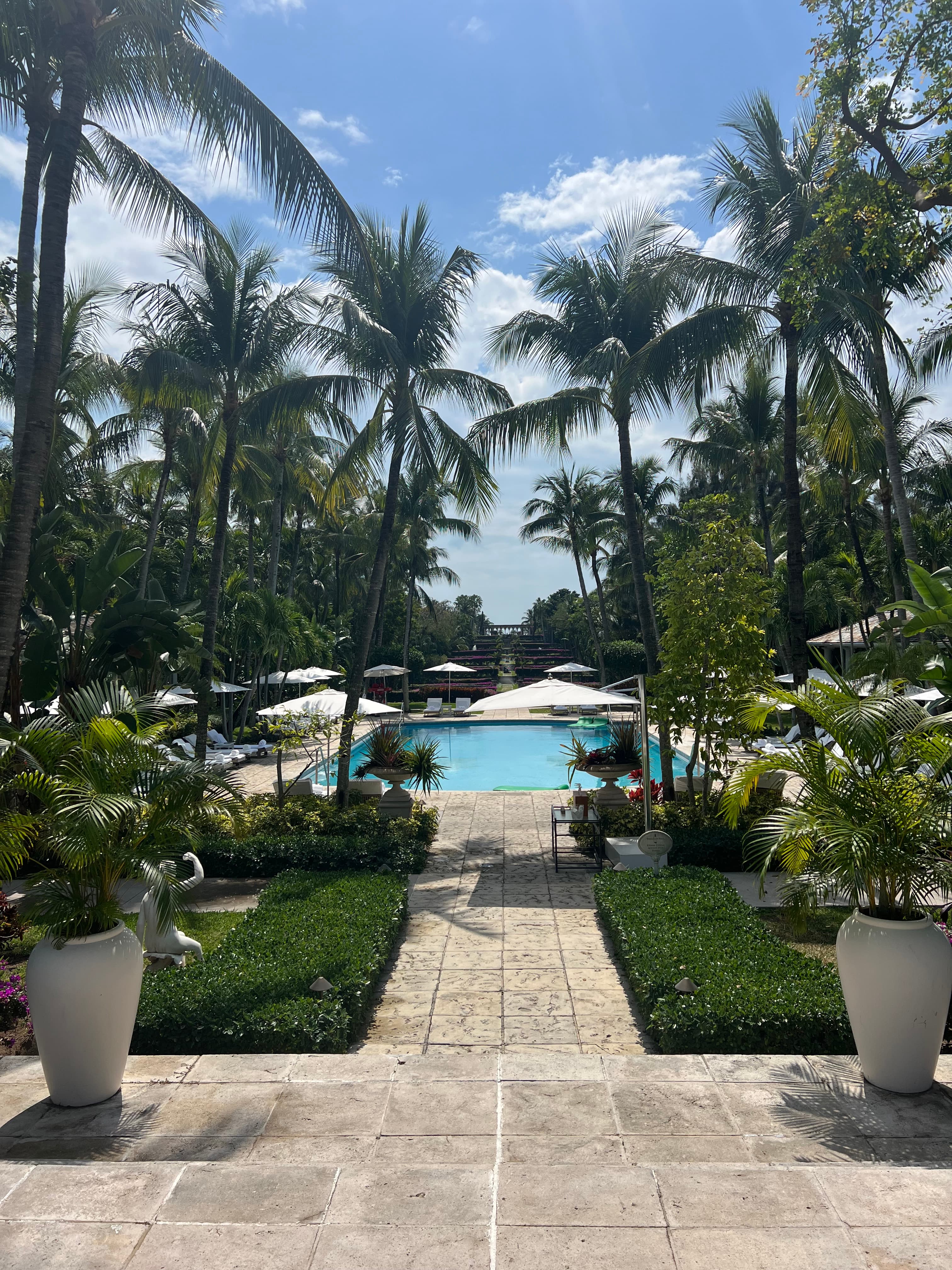 View of a hotel resort pool seen through surrounding palm trees on a sunny day