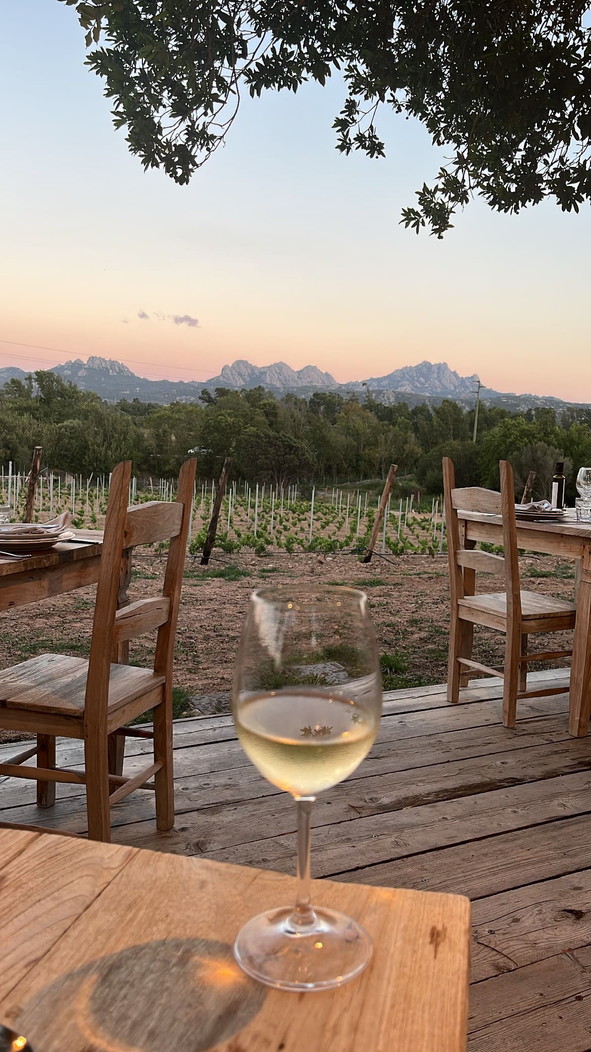 Glass of white wine on the corner of a table overlooking a vineyard at sunset