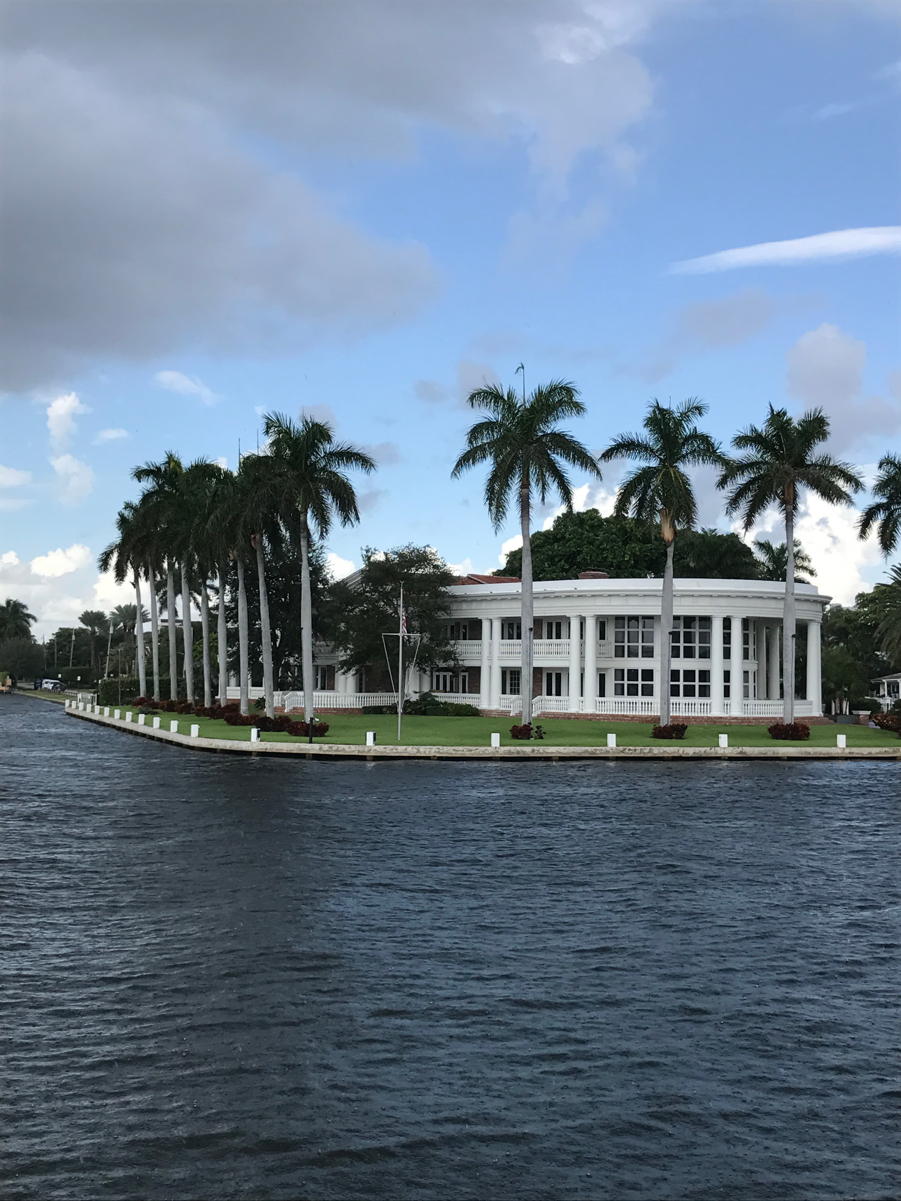 Palm trees by the water.