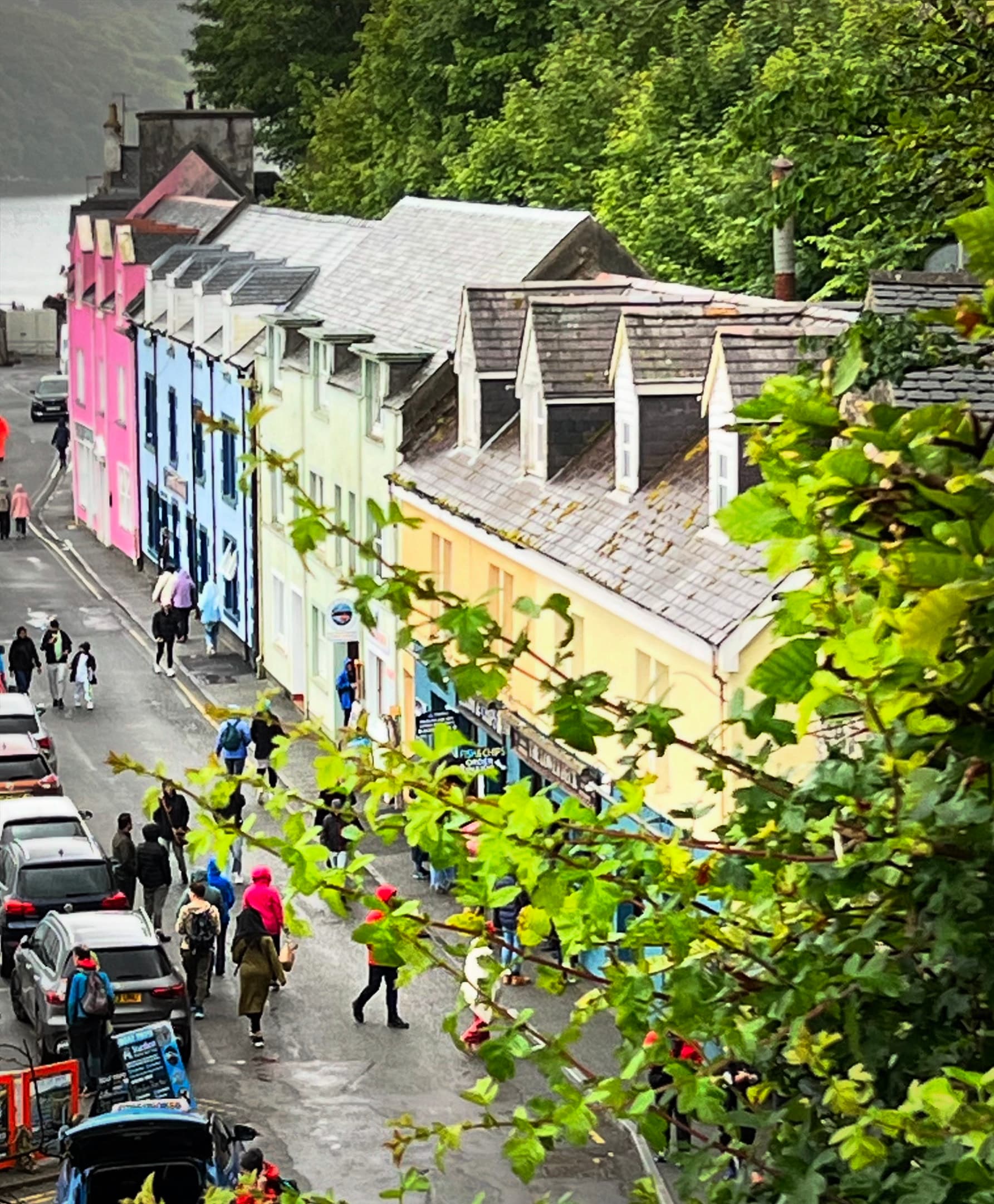 Colorful houses by greenery.