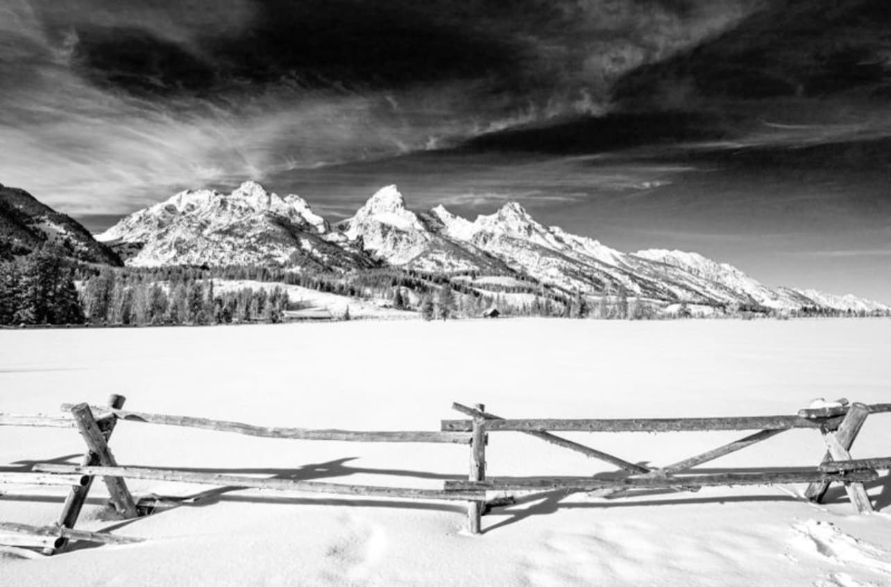 Black and white Tetons.