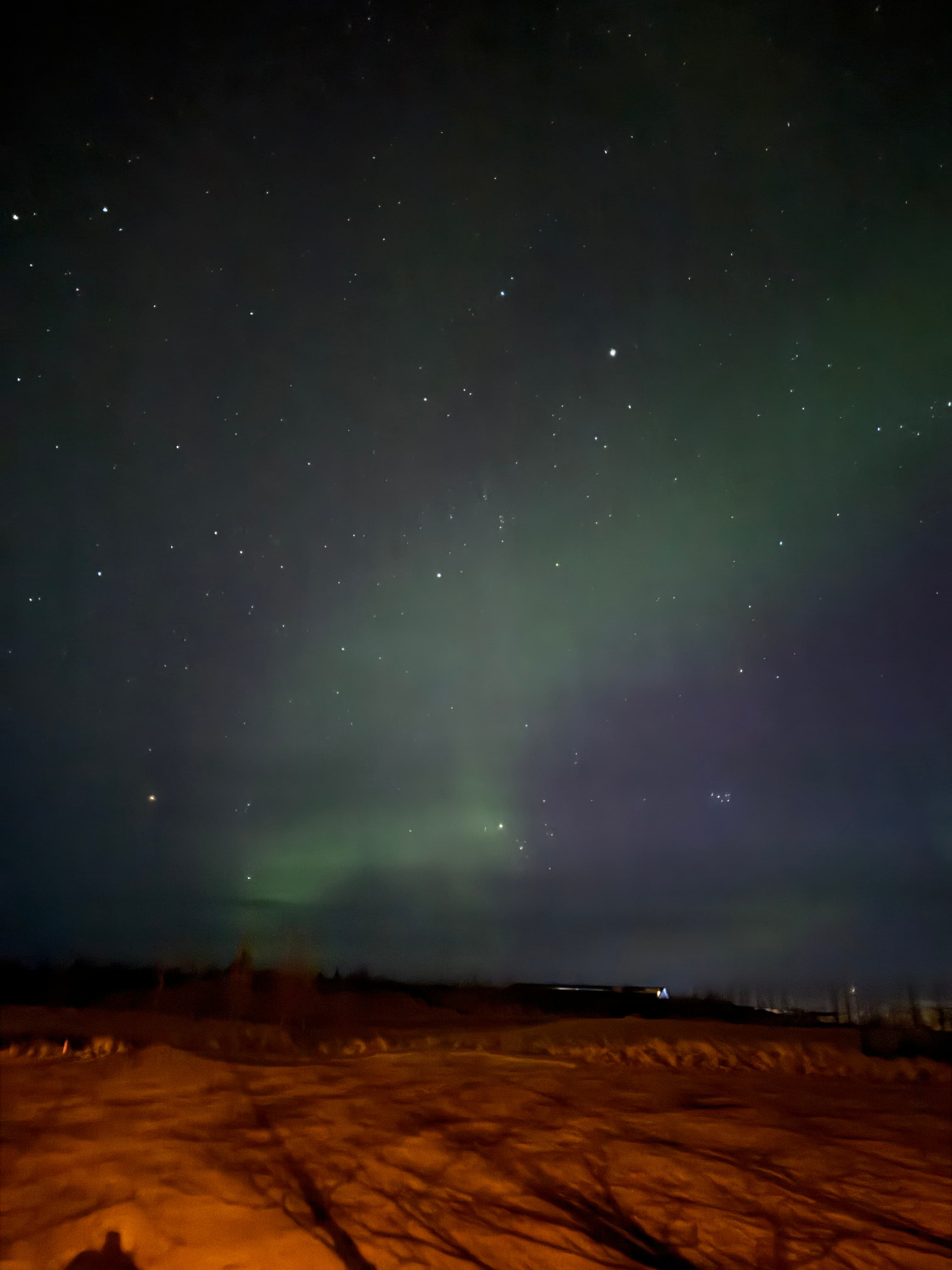 The Northern Lights glowing green in a starry night sky.