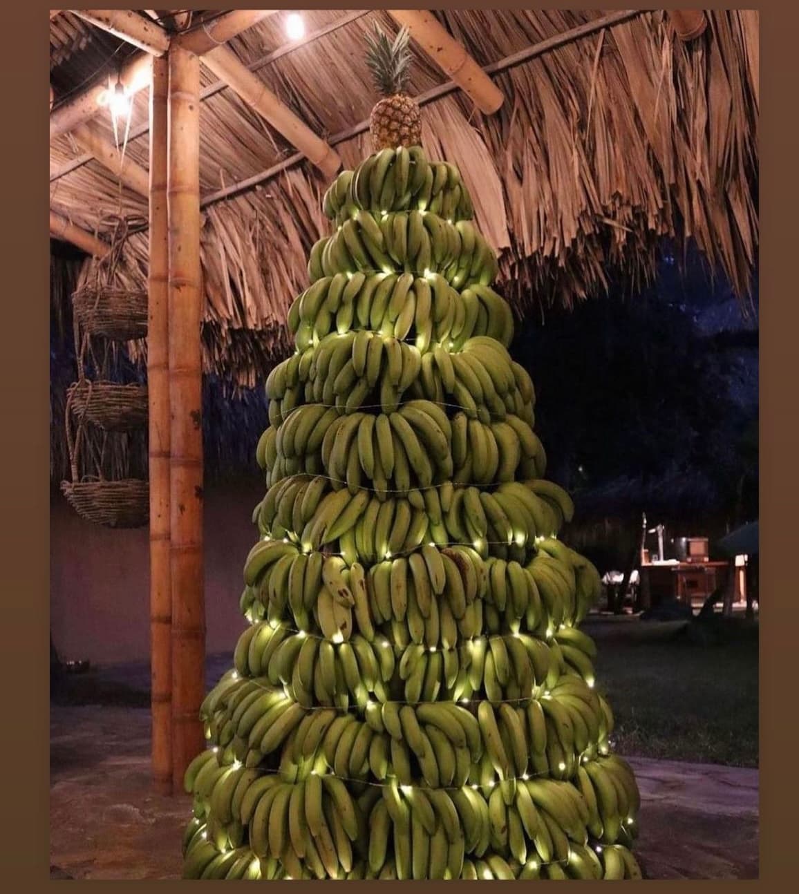 View of a Christmas tree made out of bananas and decorated with lights