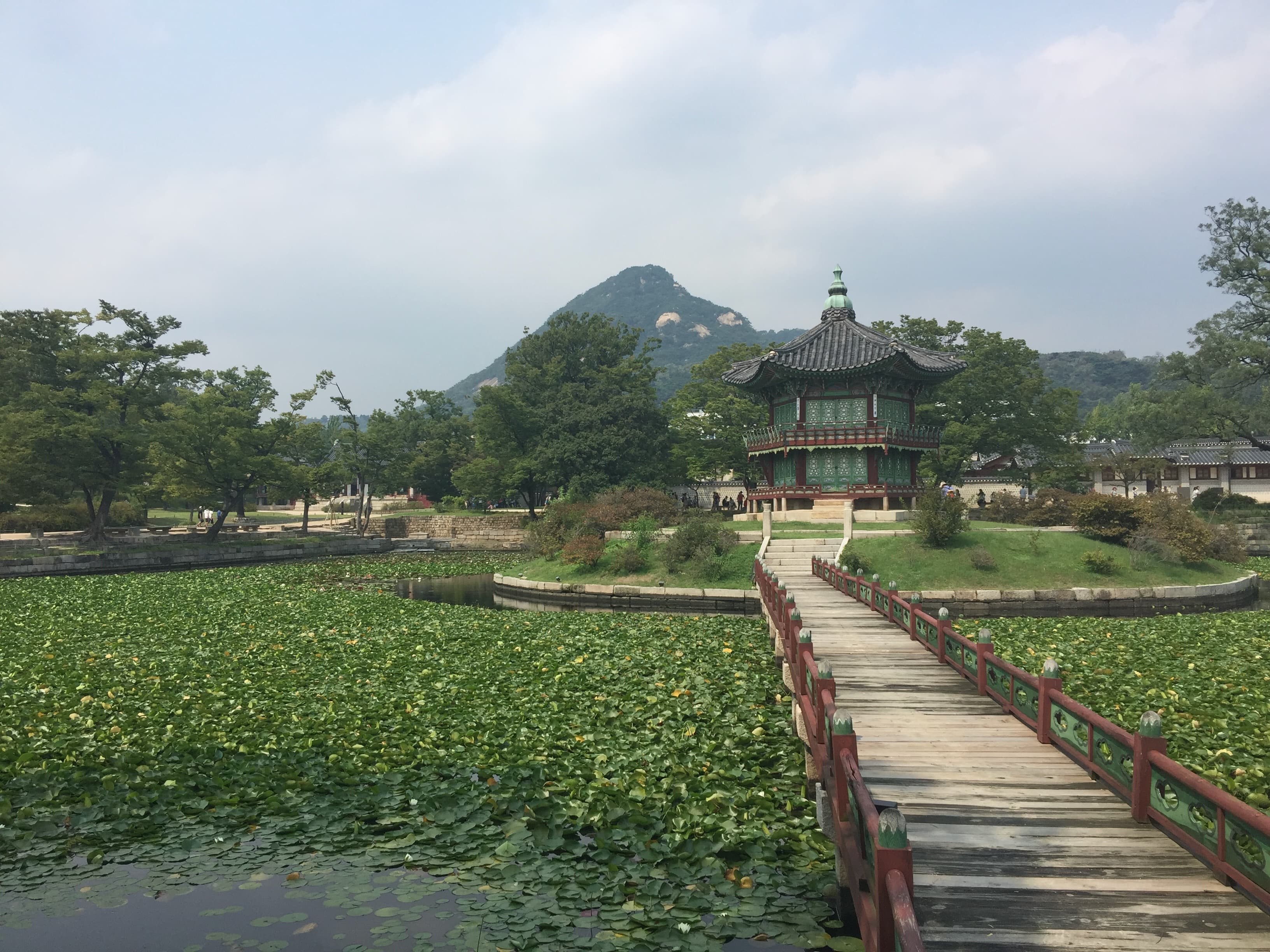 View of a wooden path over a field of crops on a cloudy day