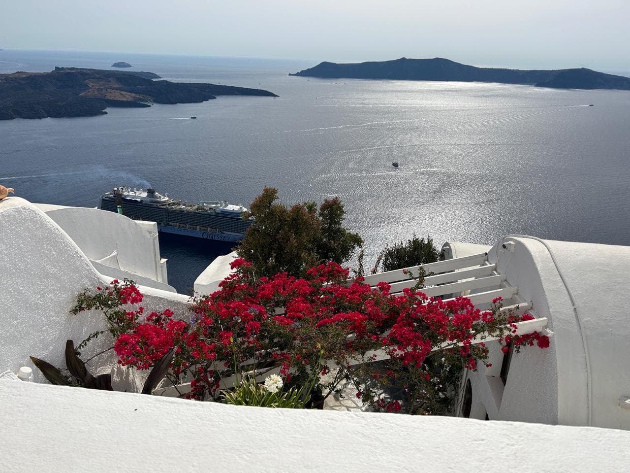 Flowers in Santorini.