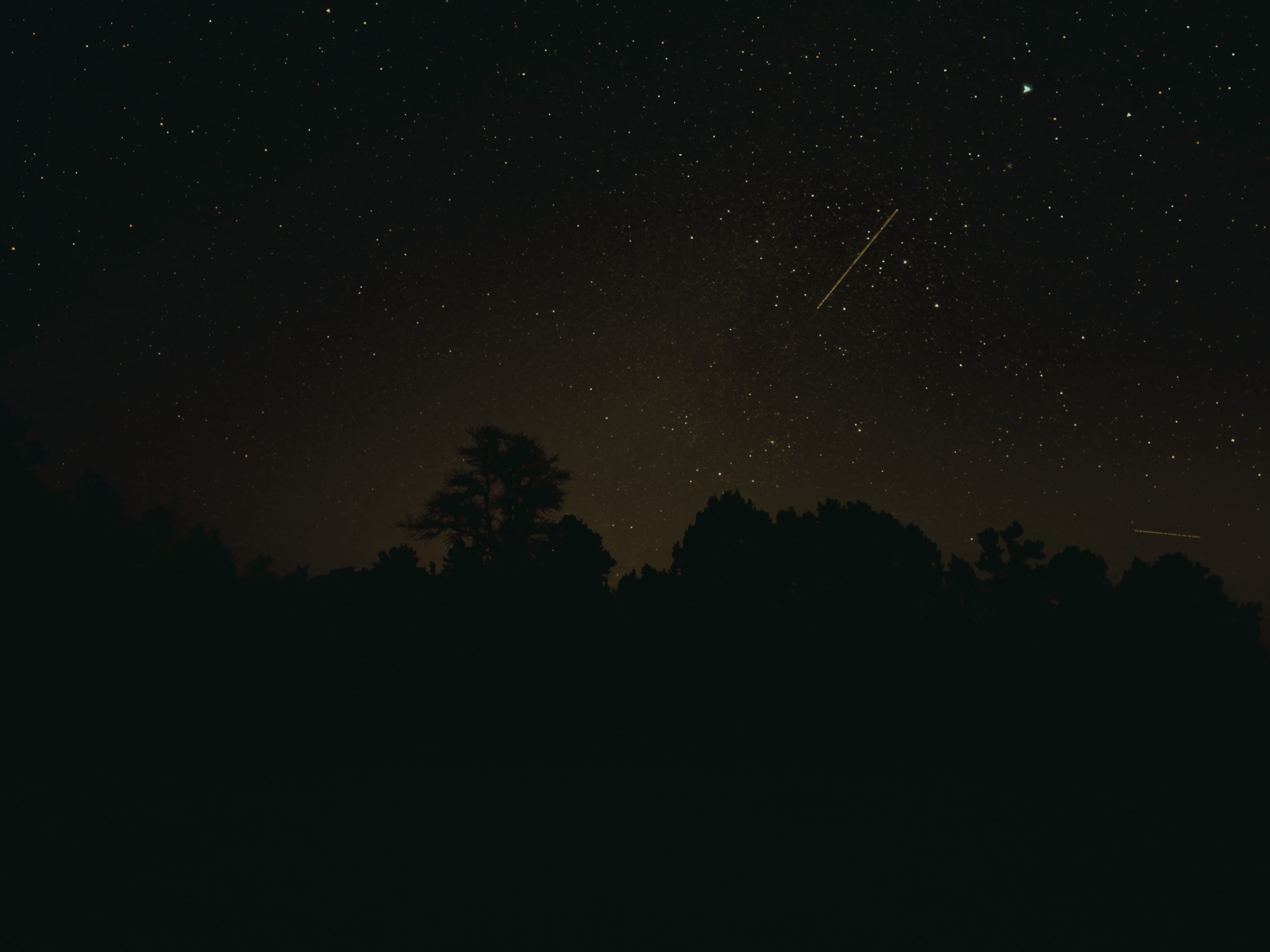 A view of a starry night with the silhouette of trees at the bottom.