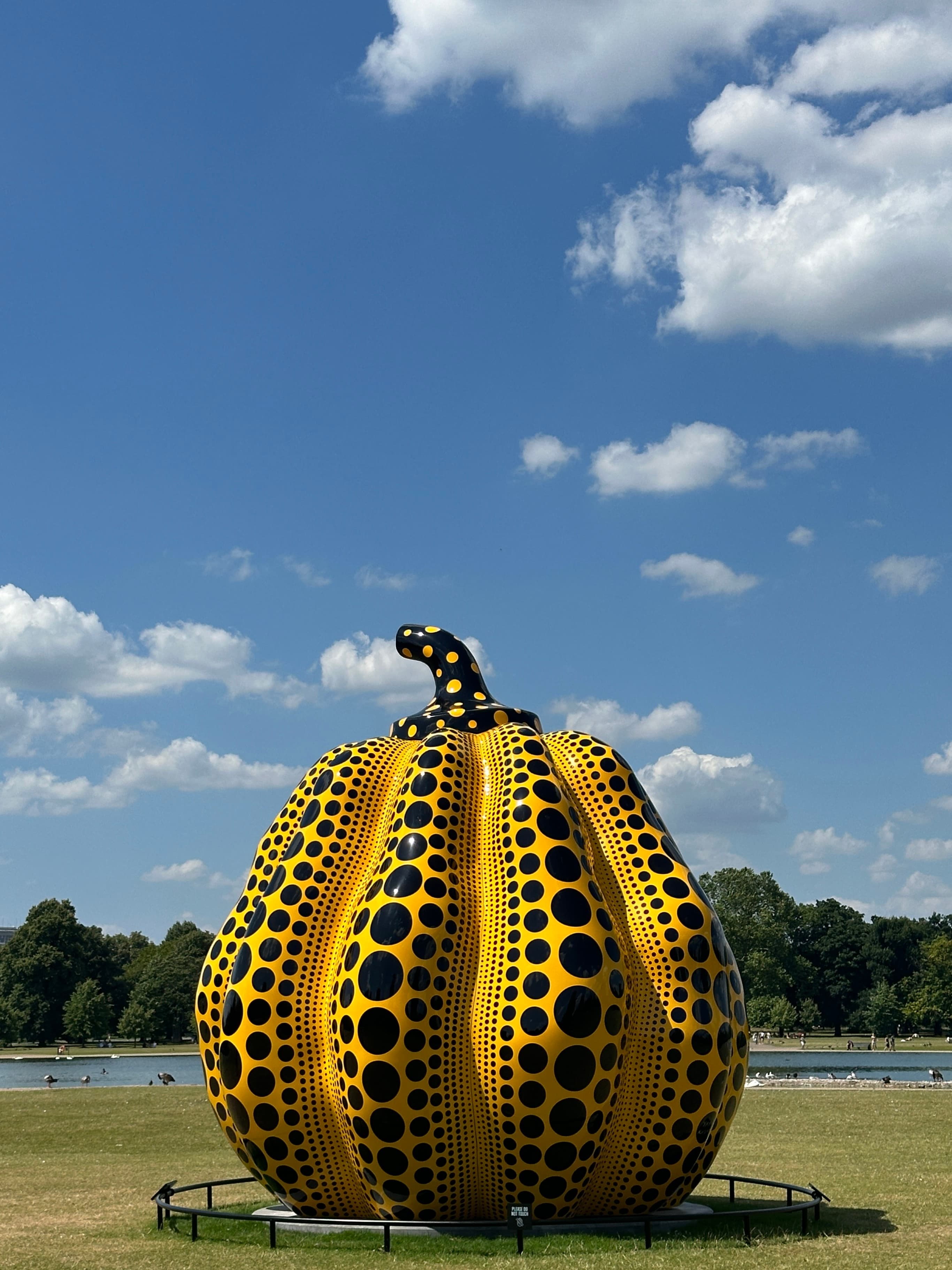 Pumpkin.