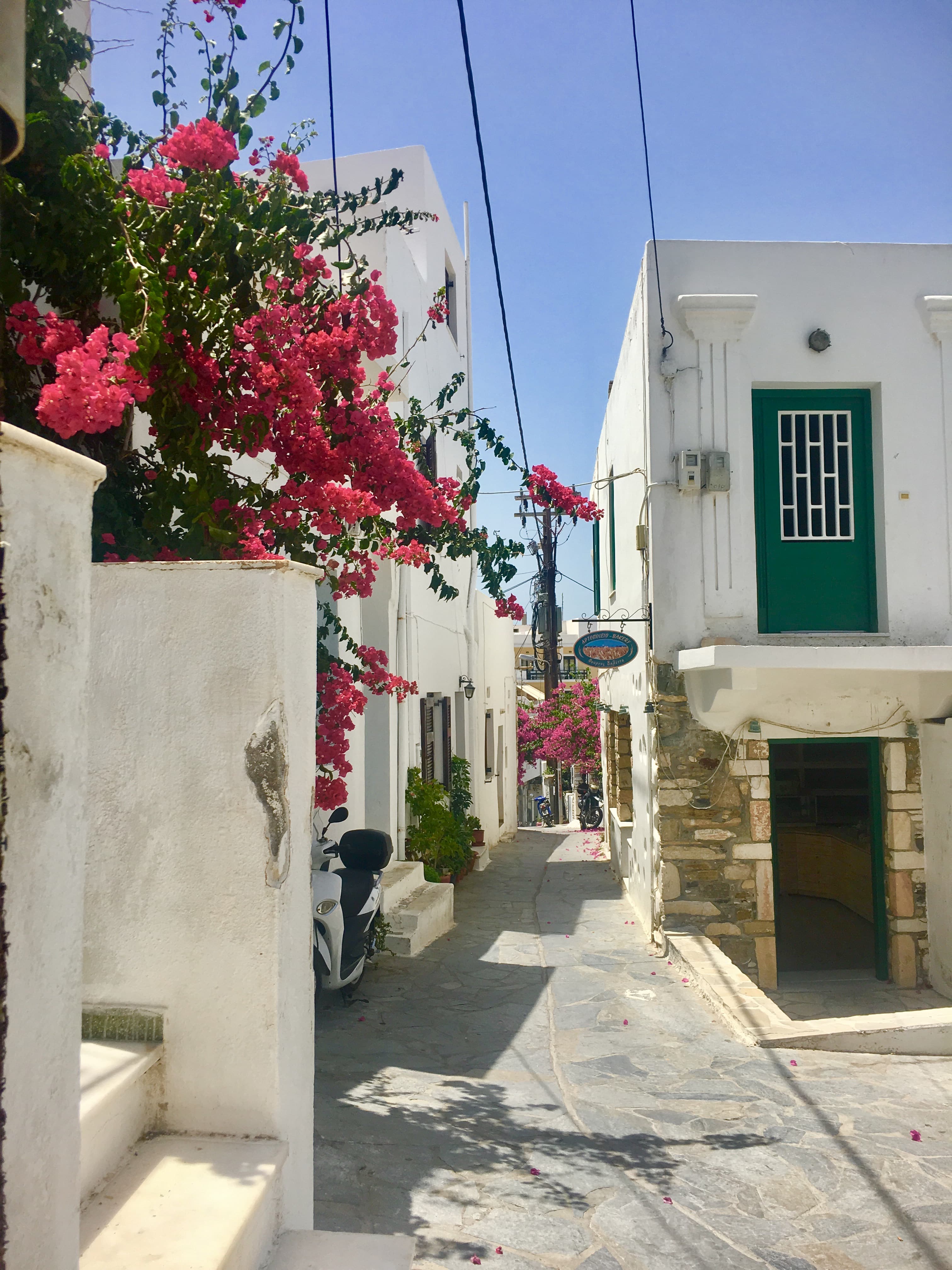 Quaint village buildings frames with local flora stand tall against the clear sky on a sunny day.