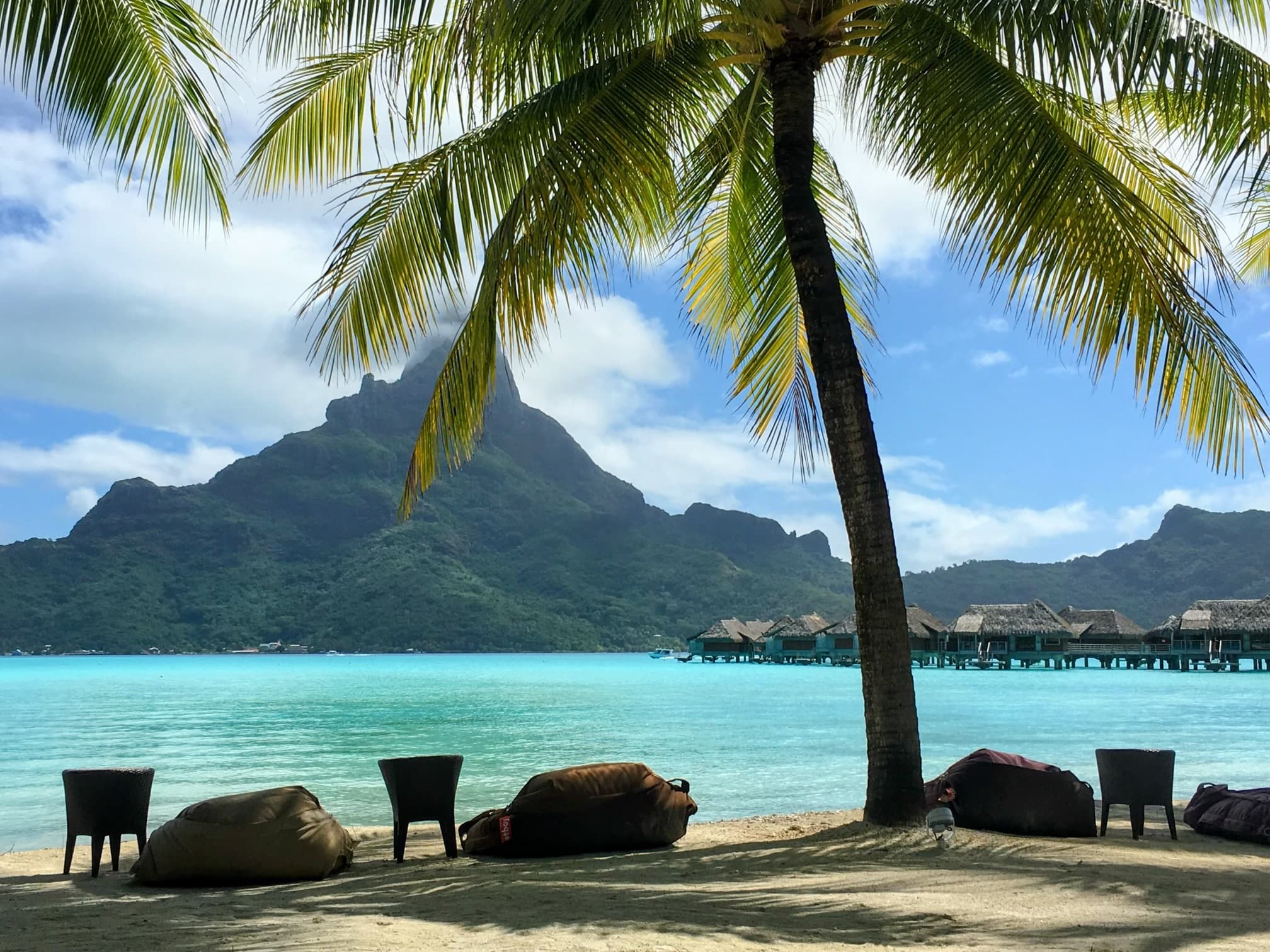 View of bean bag chairs and tables on a beautiful beach underneath a large palm tree