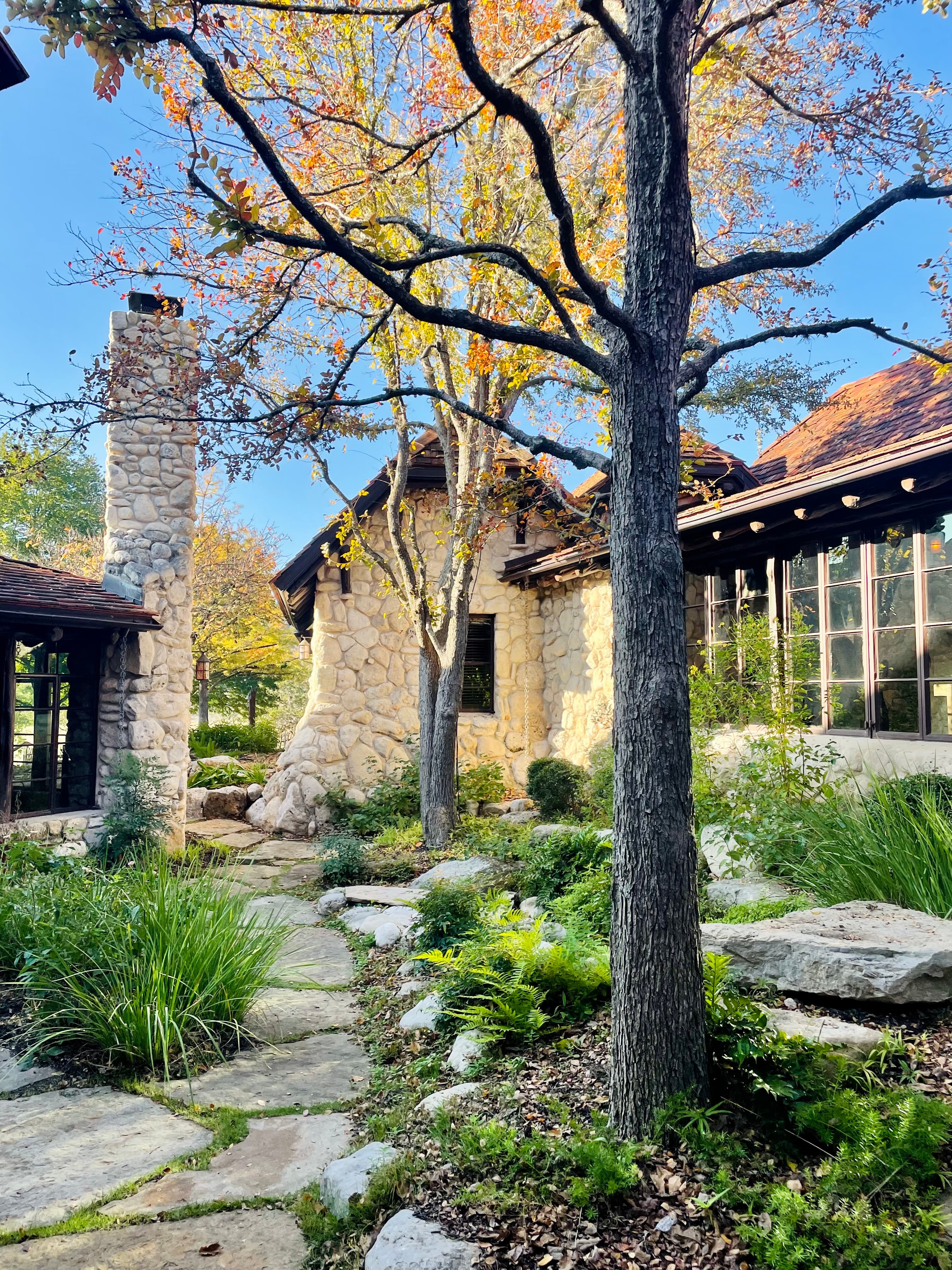 A garden with a tree and paving stones outside of a cottage.