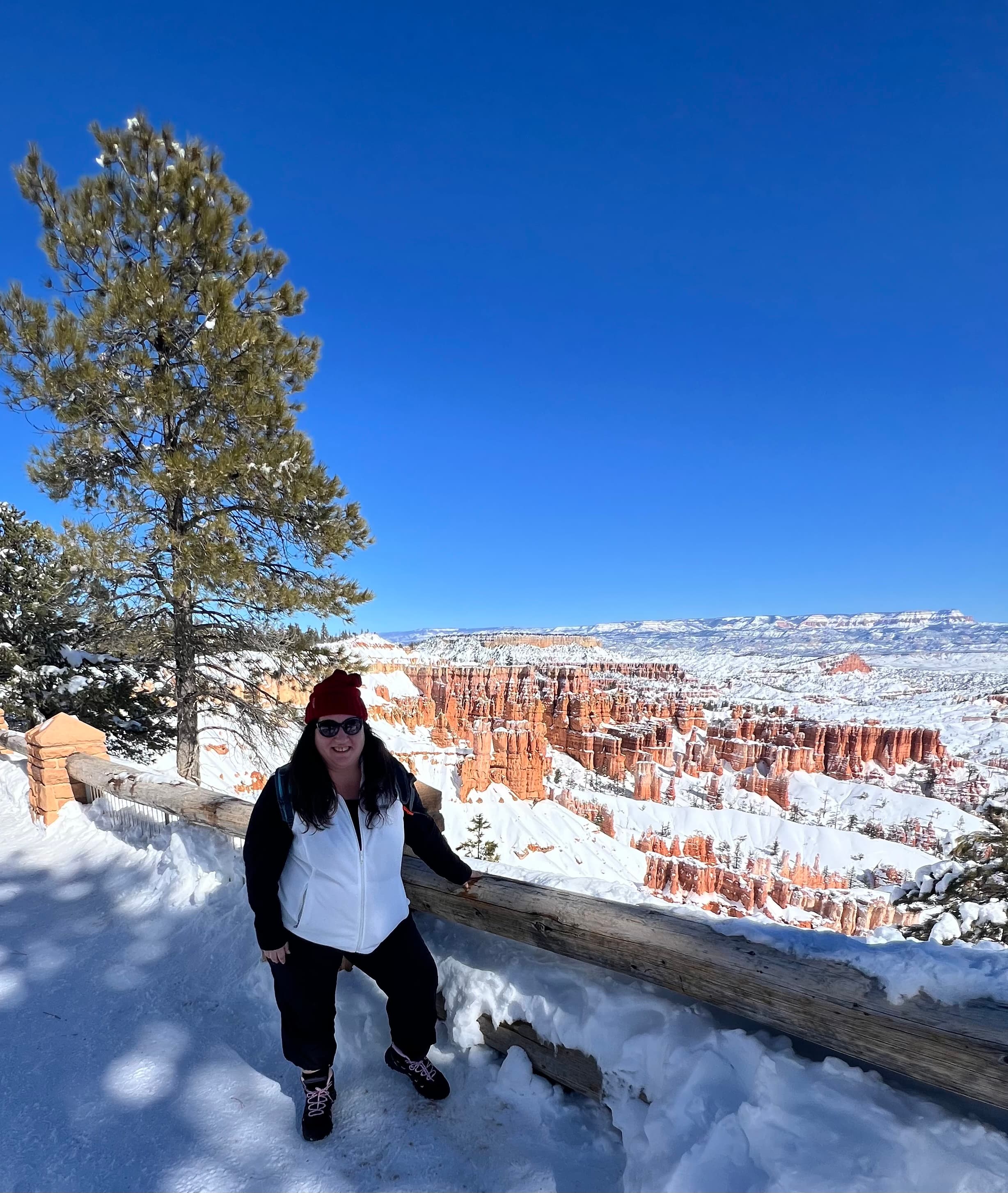 Advisor standing on the rim of a snowy canyon.