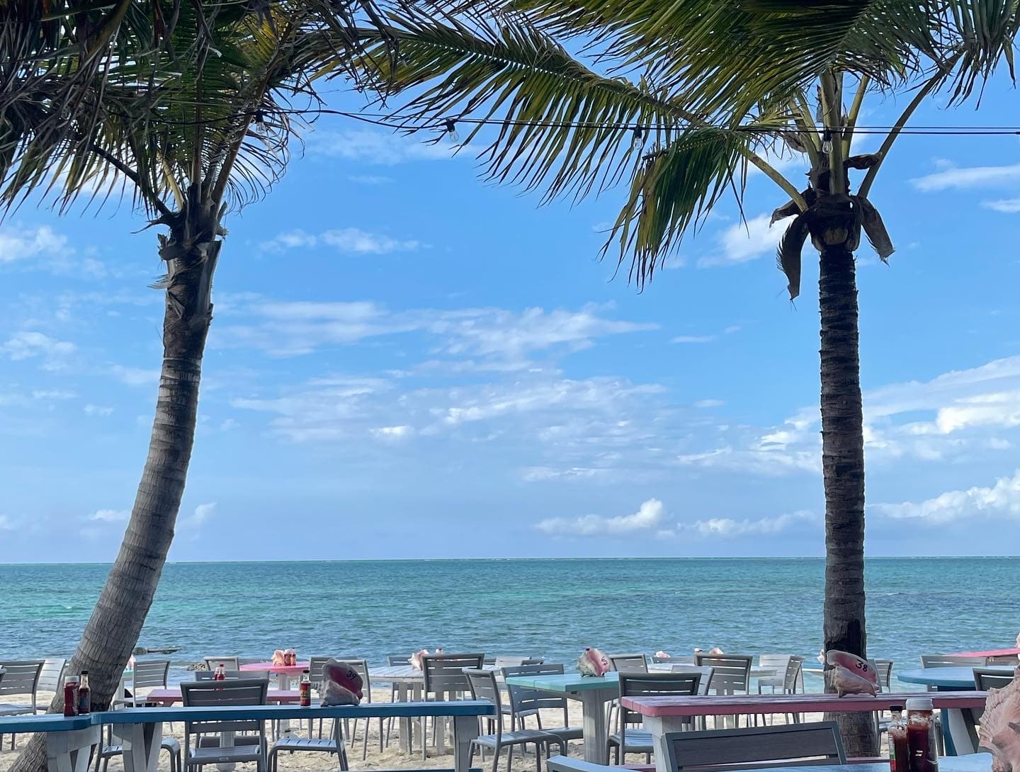 Two palm trees on the beach during the daytime.