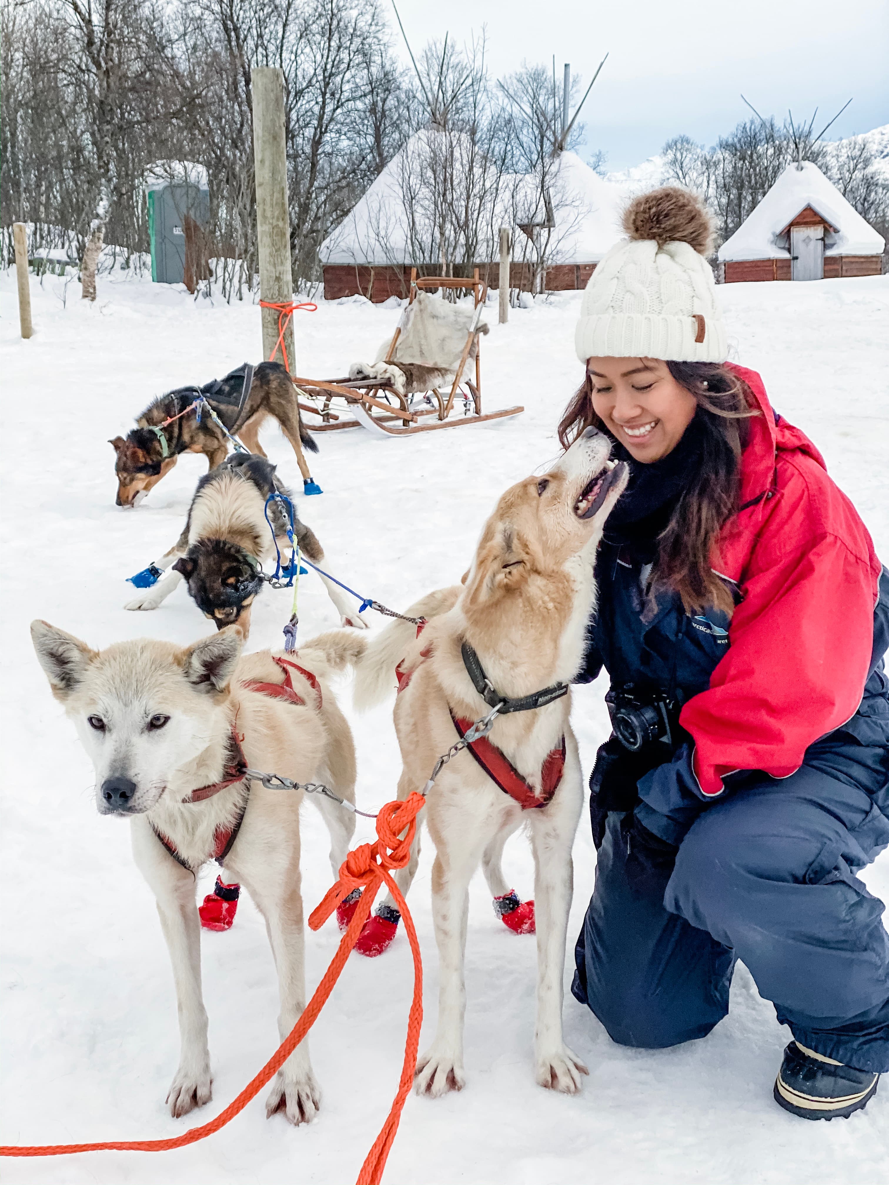 Advisor kneeling in the snow with dogs in sled dog traces.