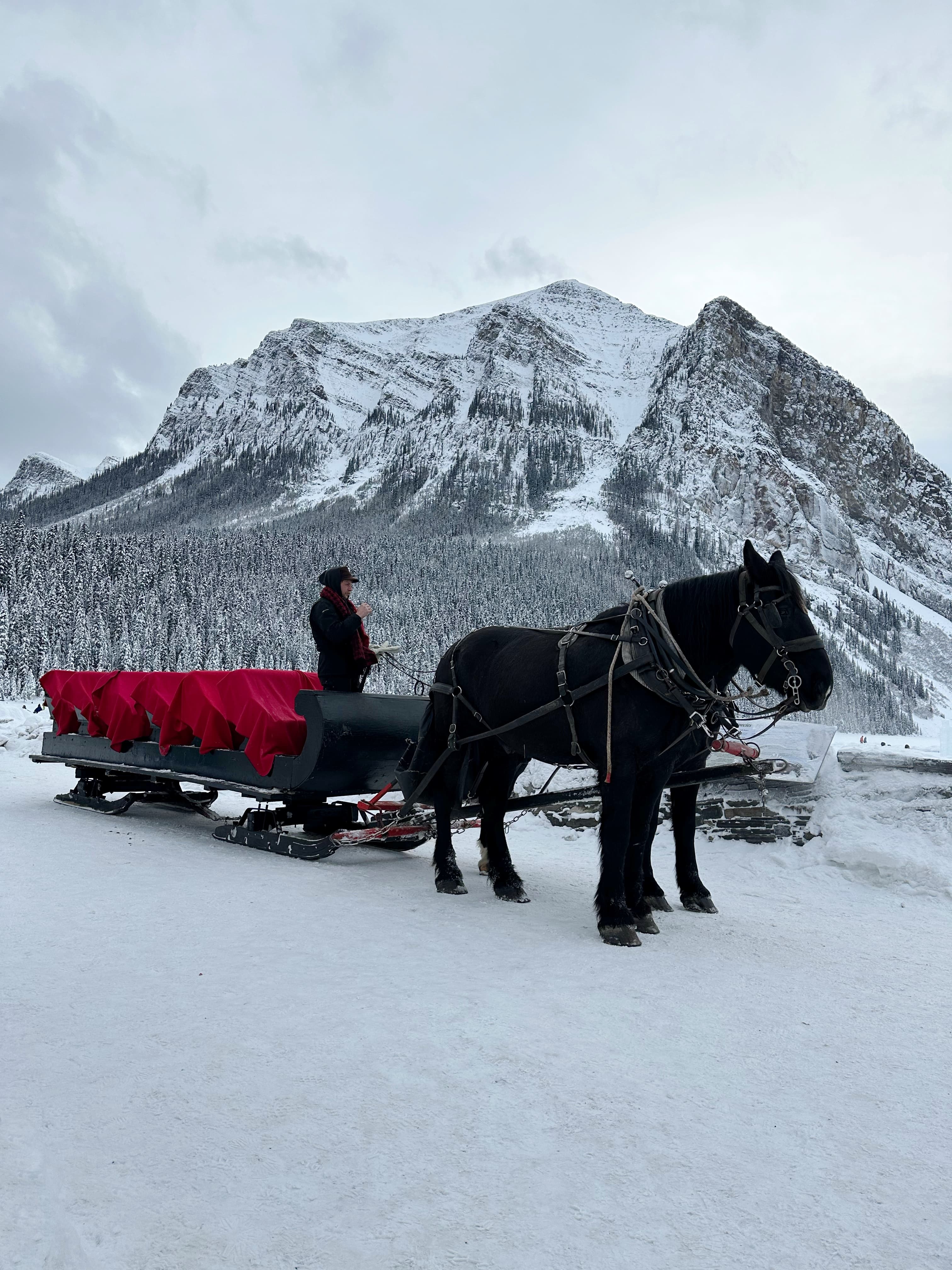 A large brown horse pulling a sled with snowy mountains behind.