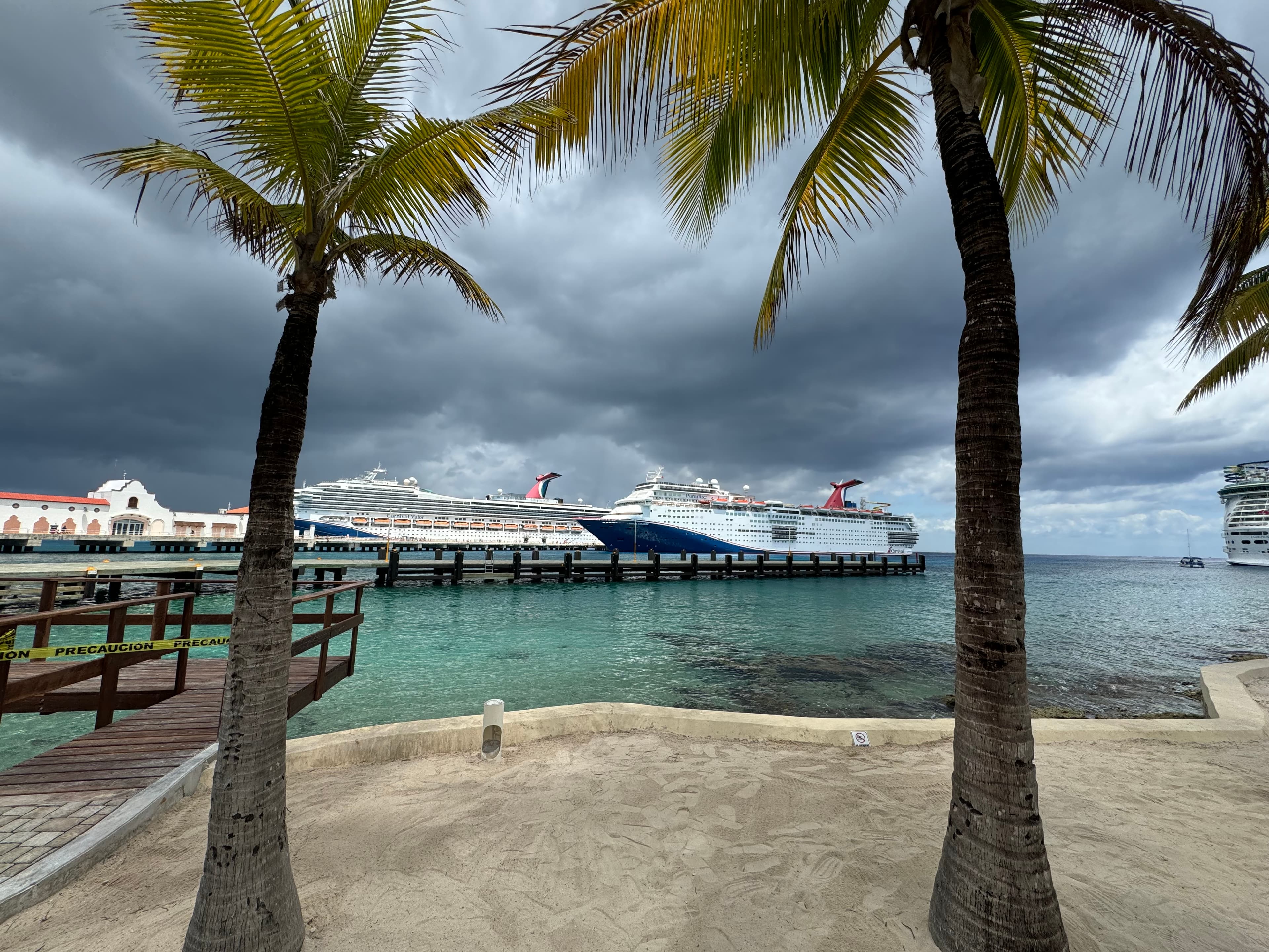 Palm trees line the sandy beach as cruise ships dock in the harbor on a cloudy day.