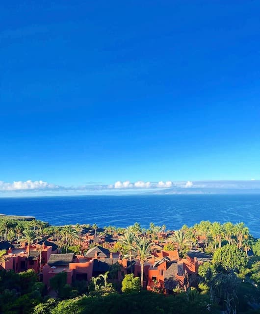 Trees and buildings near the ocean.