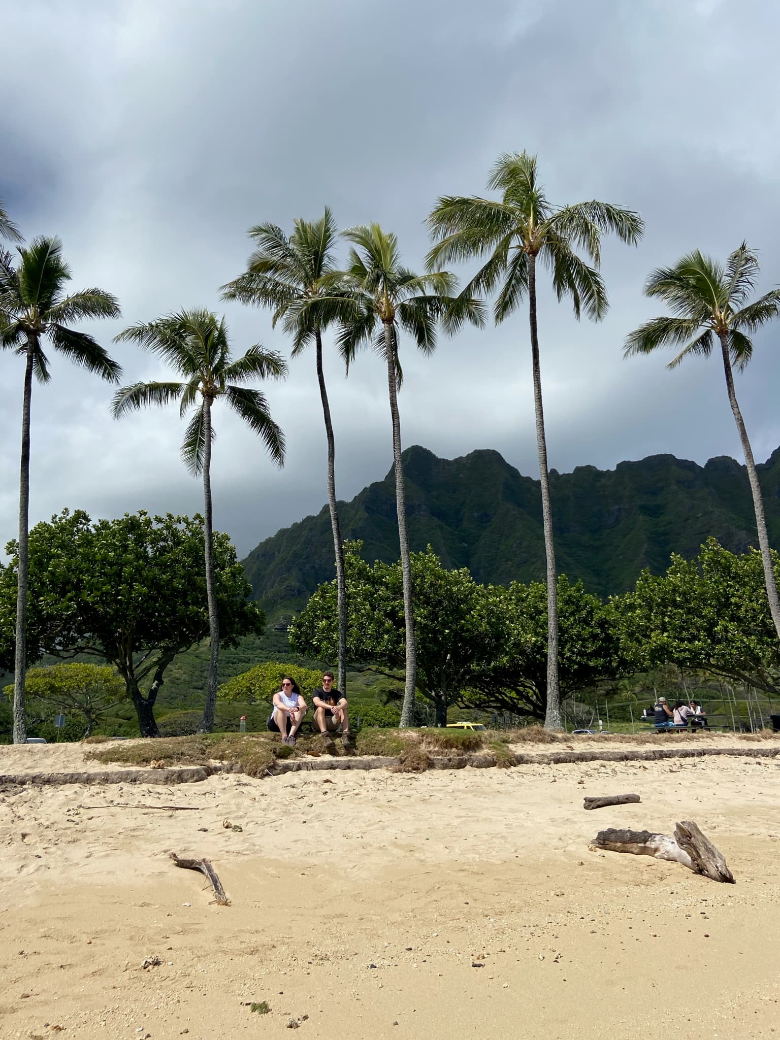 Two people sitting on a beach with palm trees and a volcano in the background.