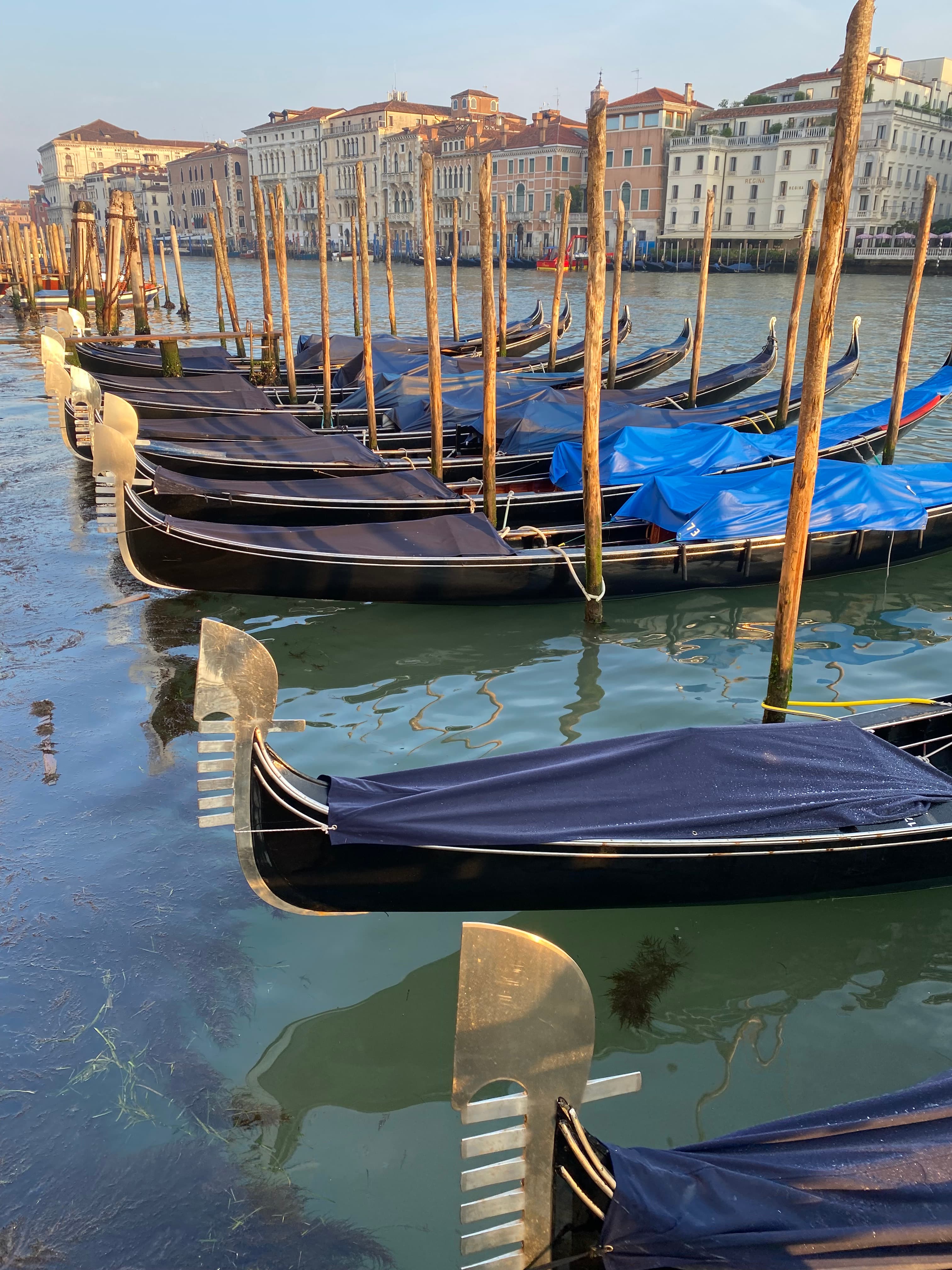 A row of gondolas floating on a canal with houses in the background.