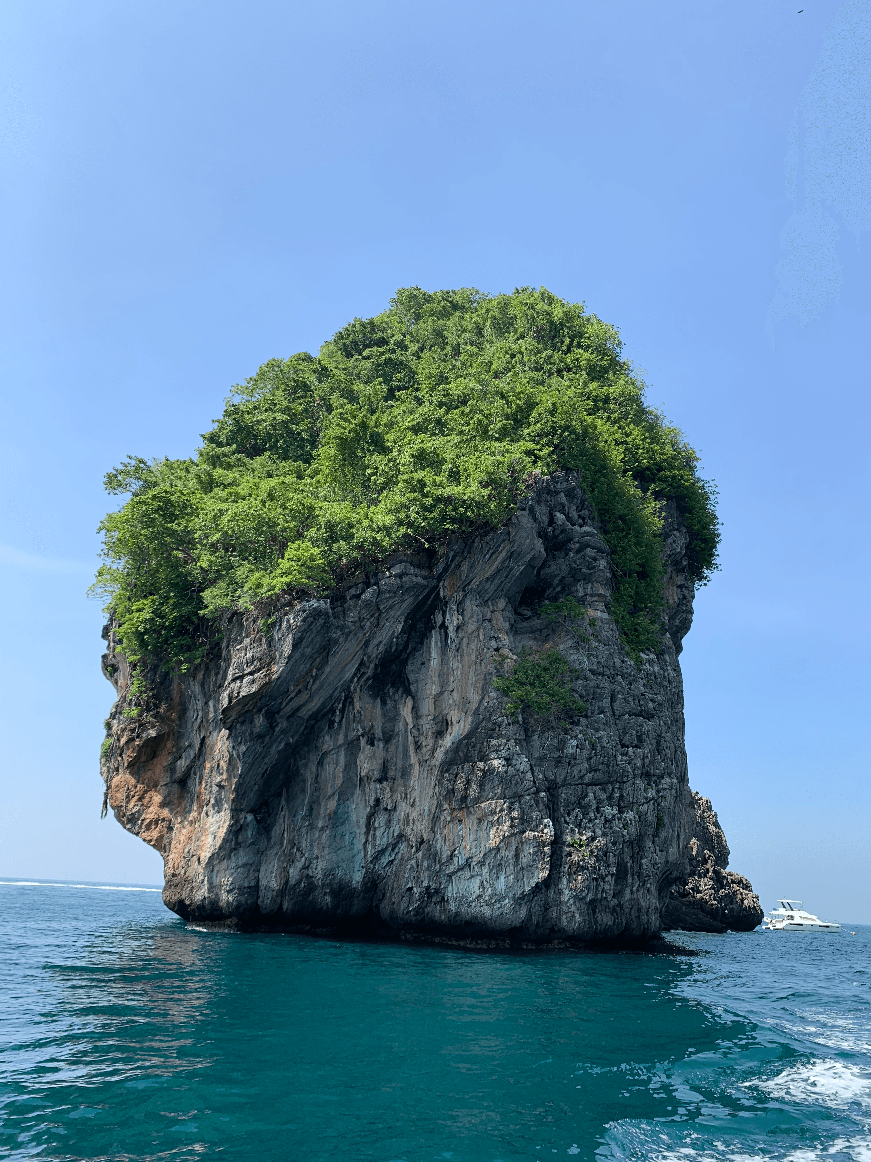 A view of a rock formation in the ocean with foliage on the top.