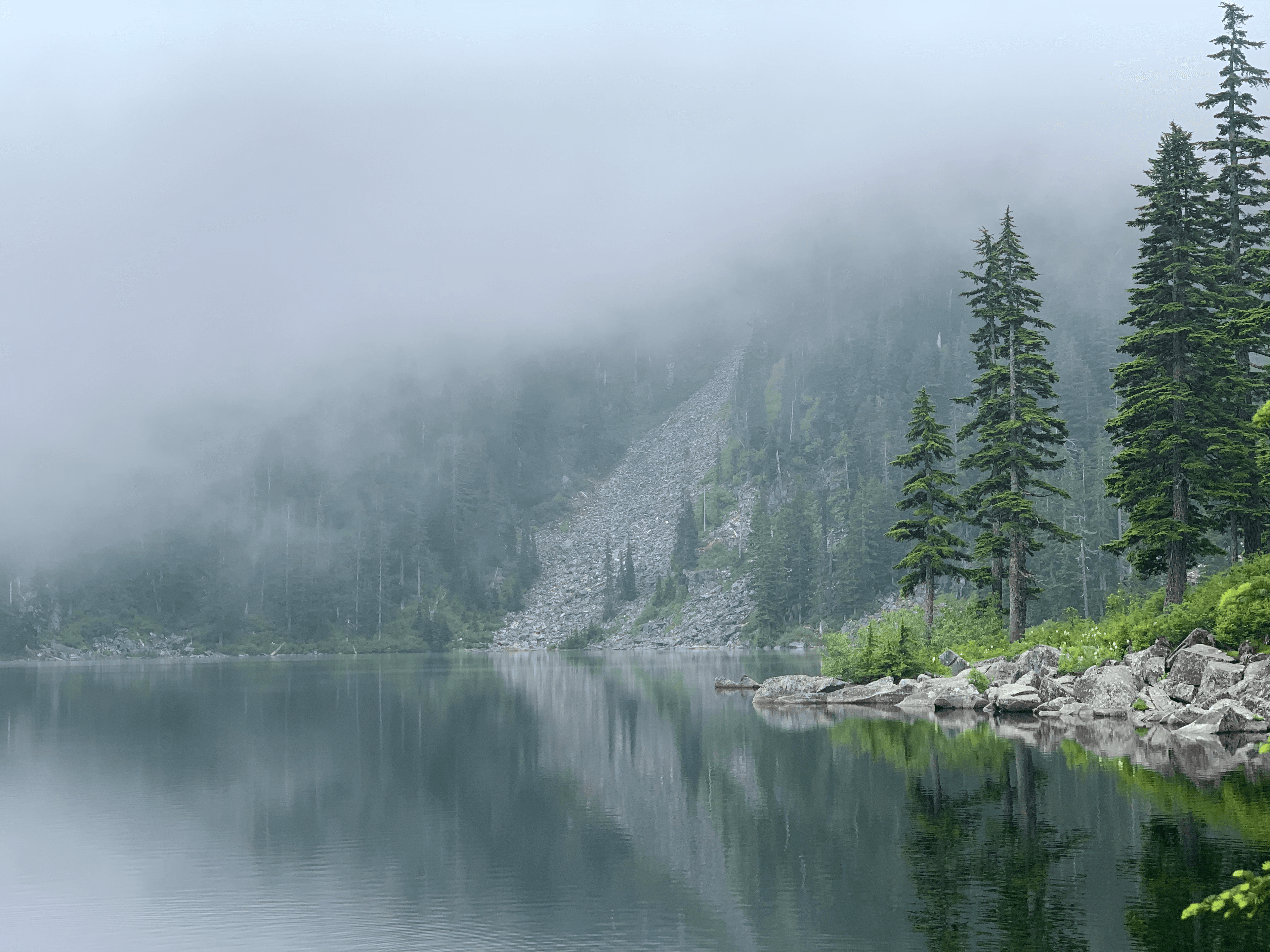 An image of a lake with a forest in the distance.