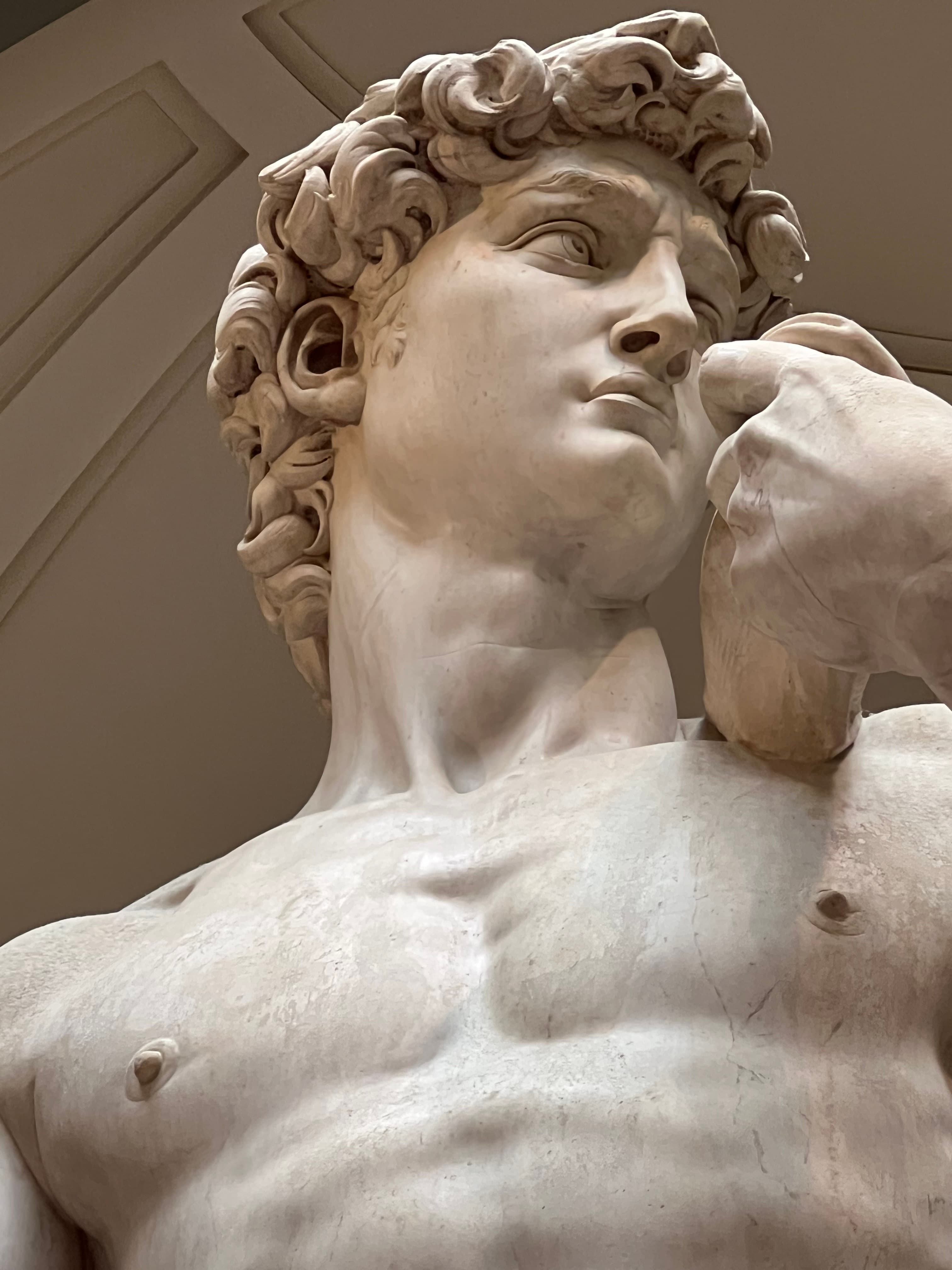 Close up view of the David statue’s head
