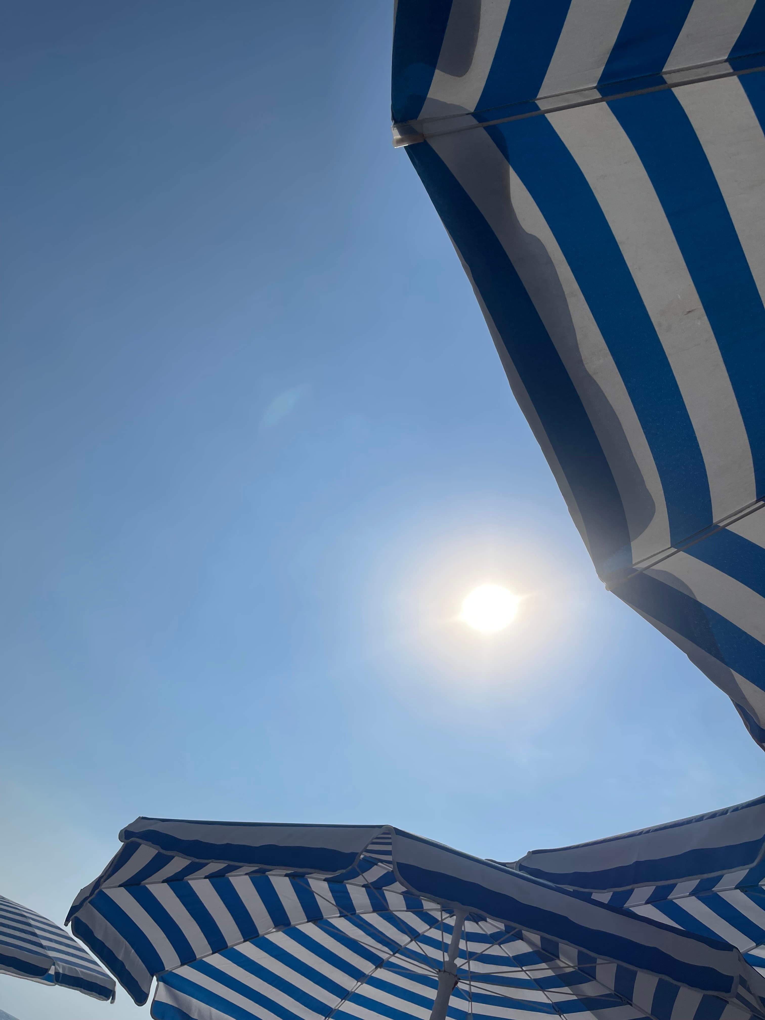 Blue and white striped beach umbrellas reach for the sky on a sunny day.