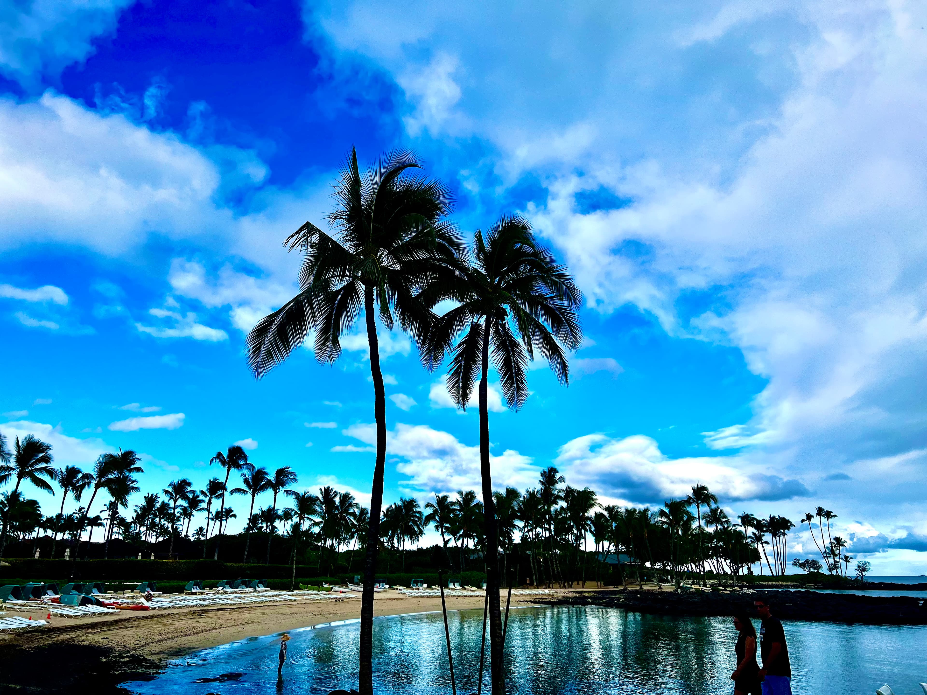 A view of the ocean with palm trees and a beautiful skyline in the distance.