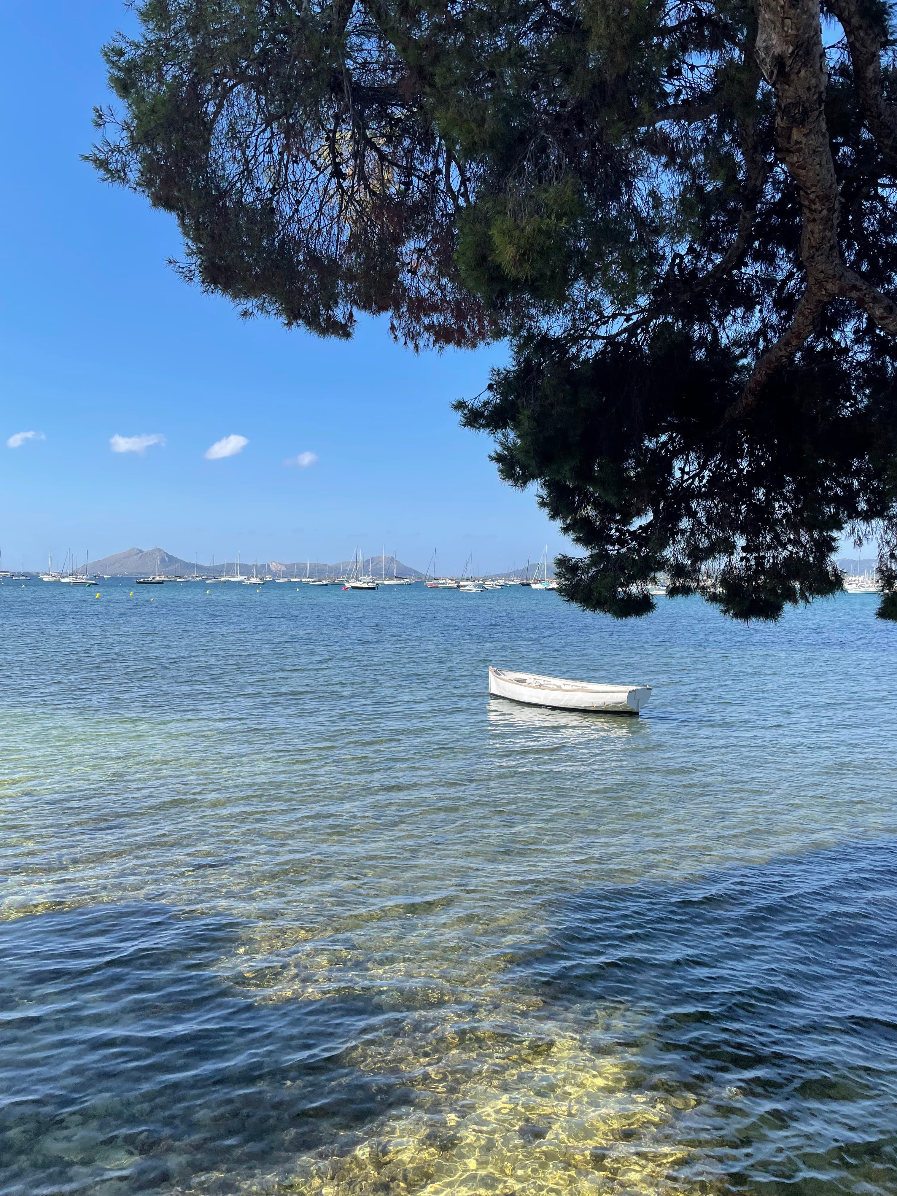 A view of the ocean with foliage and a boat in the distance.