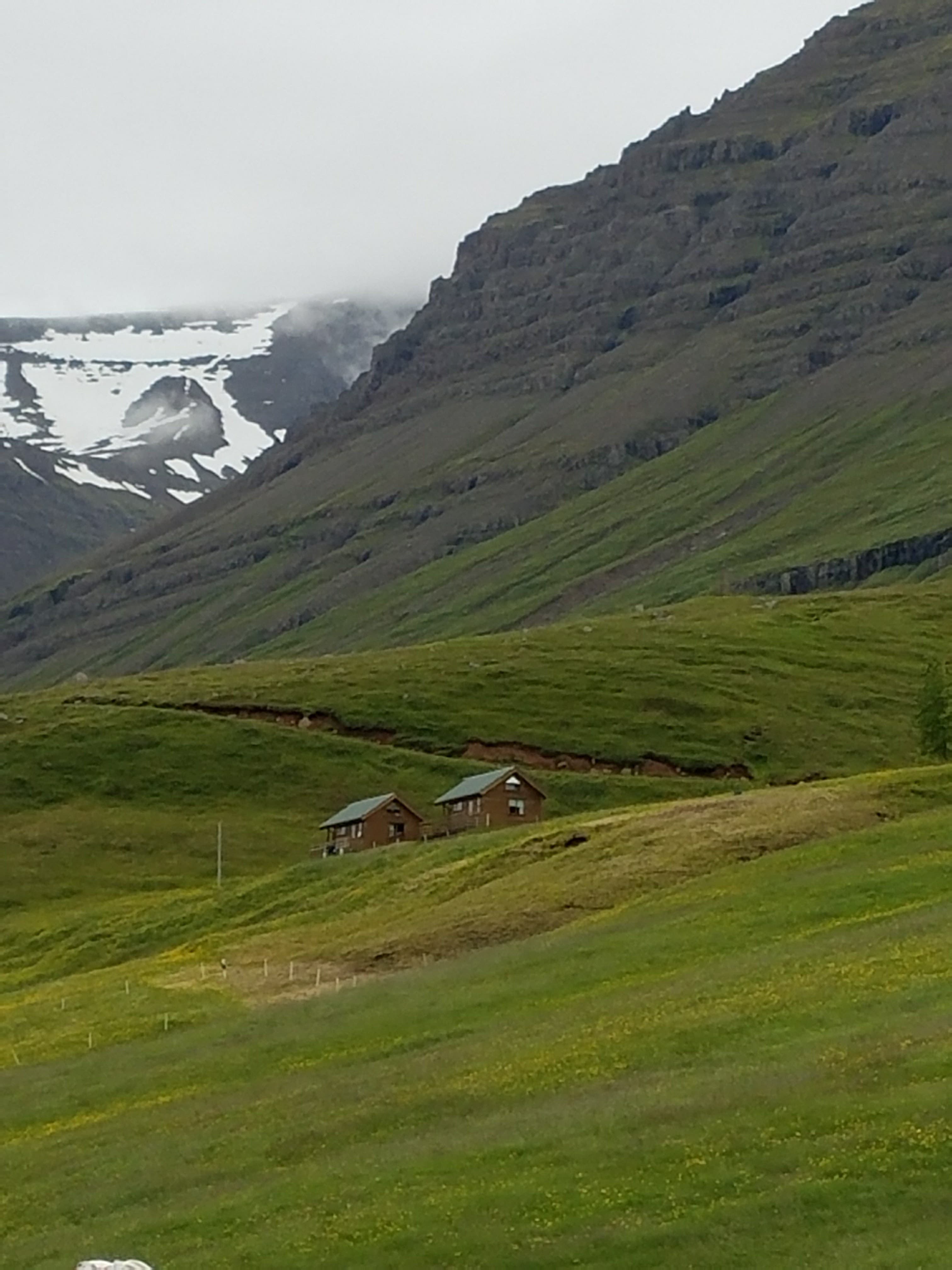 An image of a grassy field with mountains in the distance.