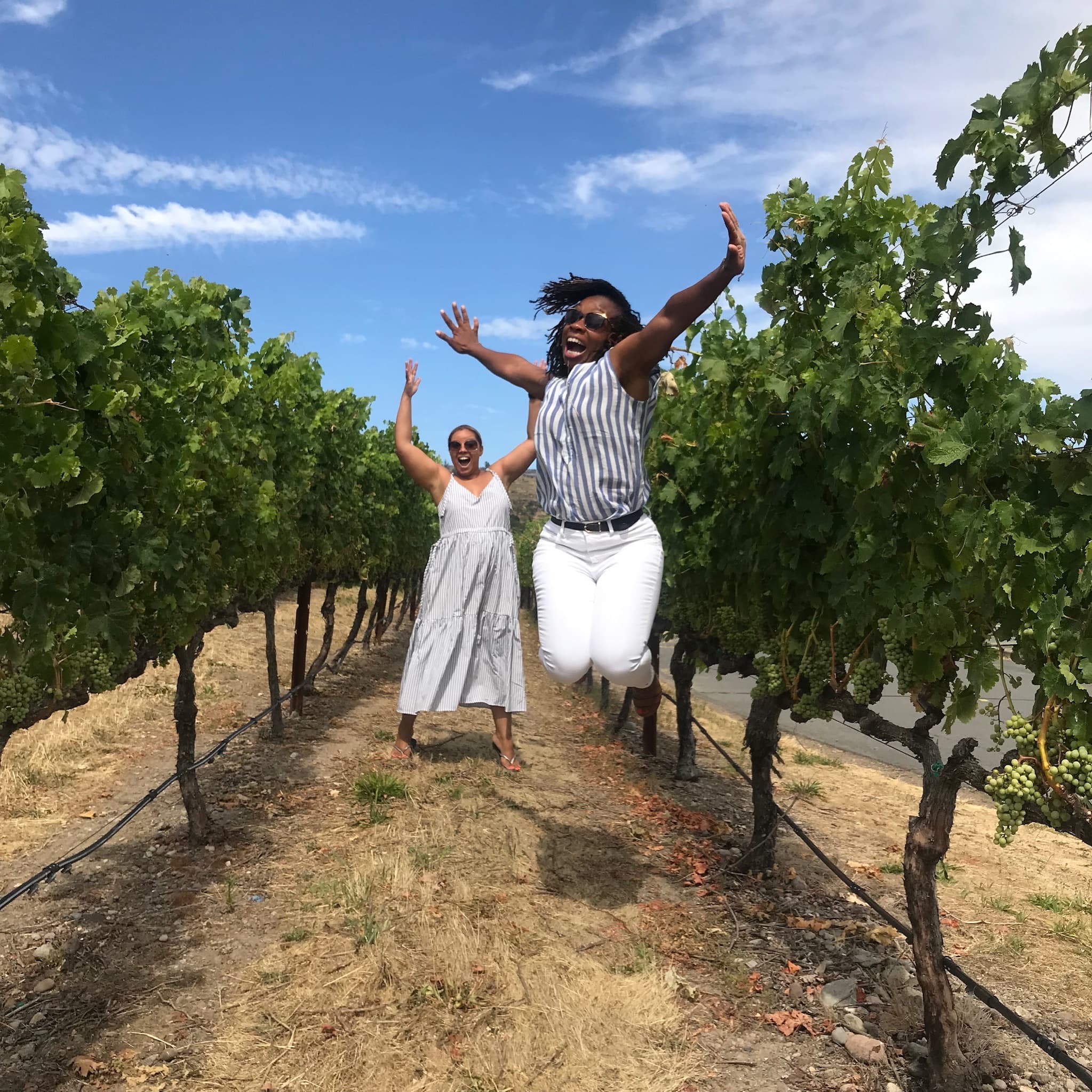 Advisor and friend jumping in a vineyard on a sunny day