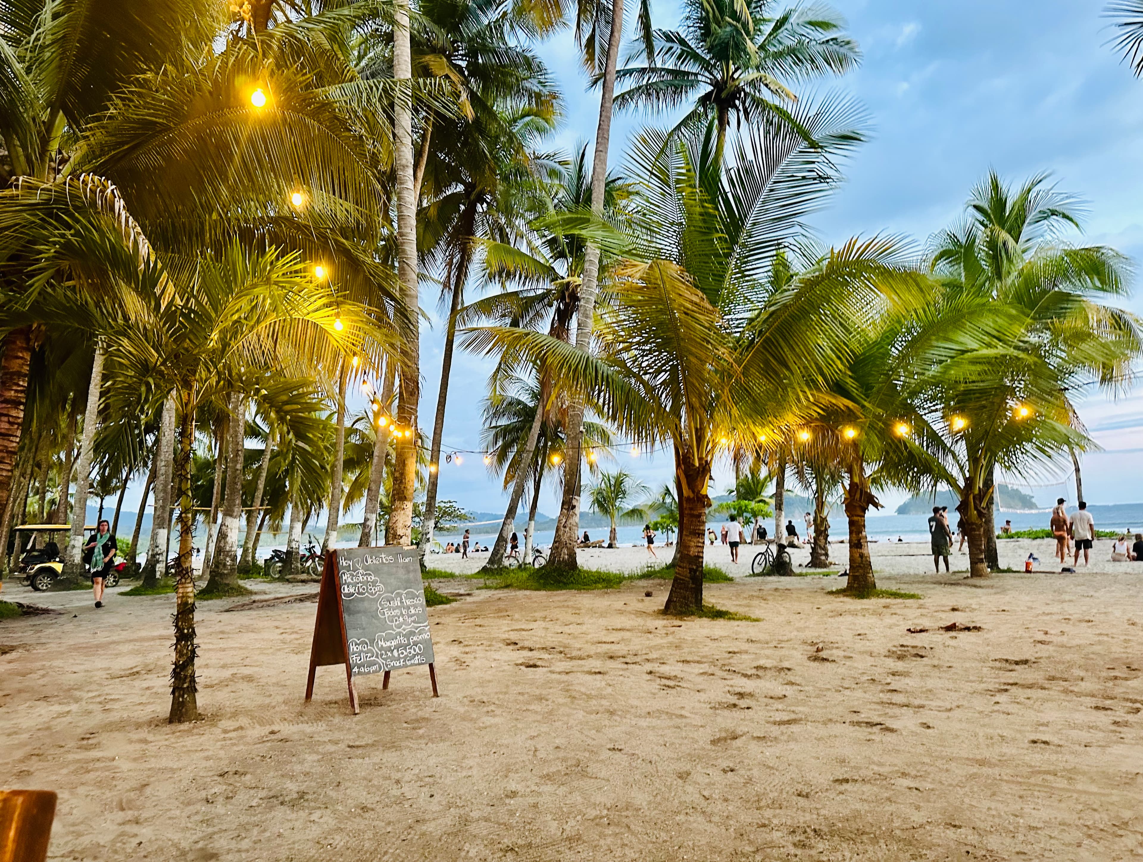 View of a beach bar with many small palm trees at sunset