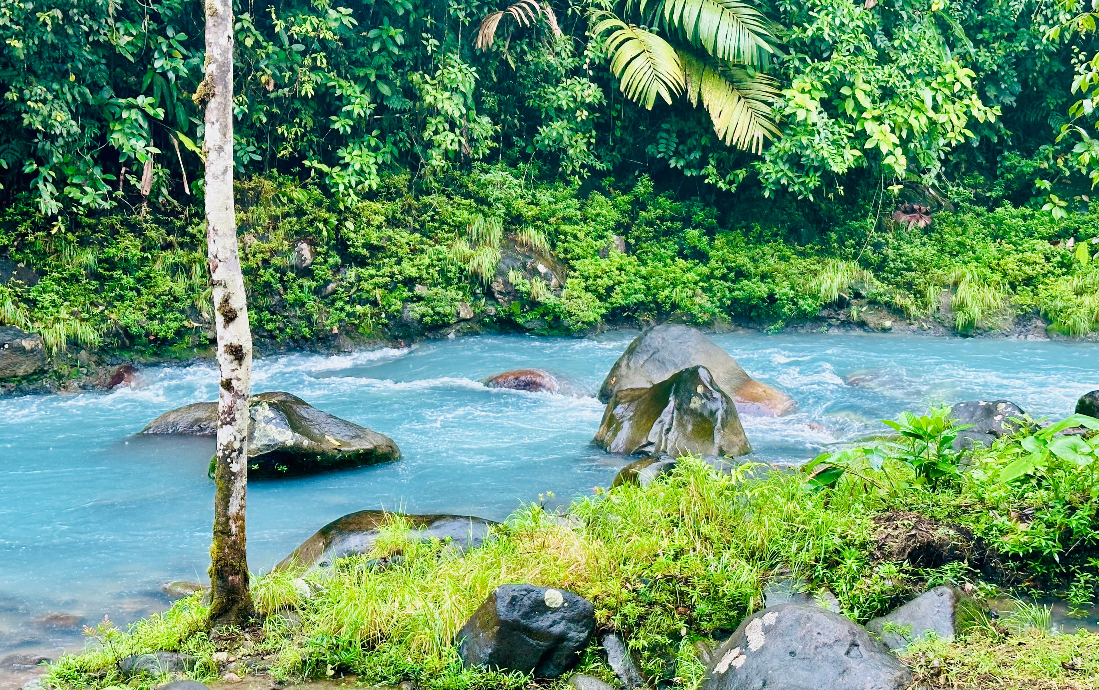 View of a small river rushing over rocks in the jungle