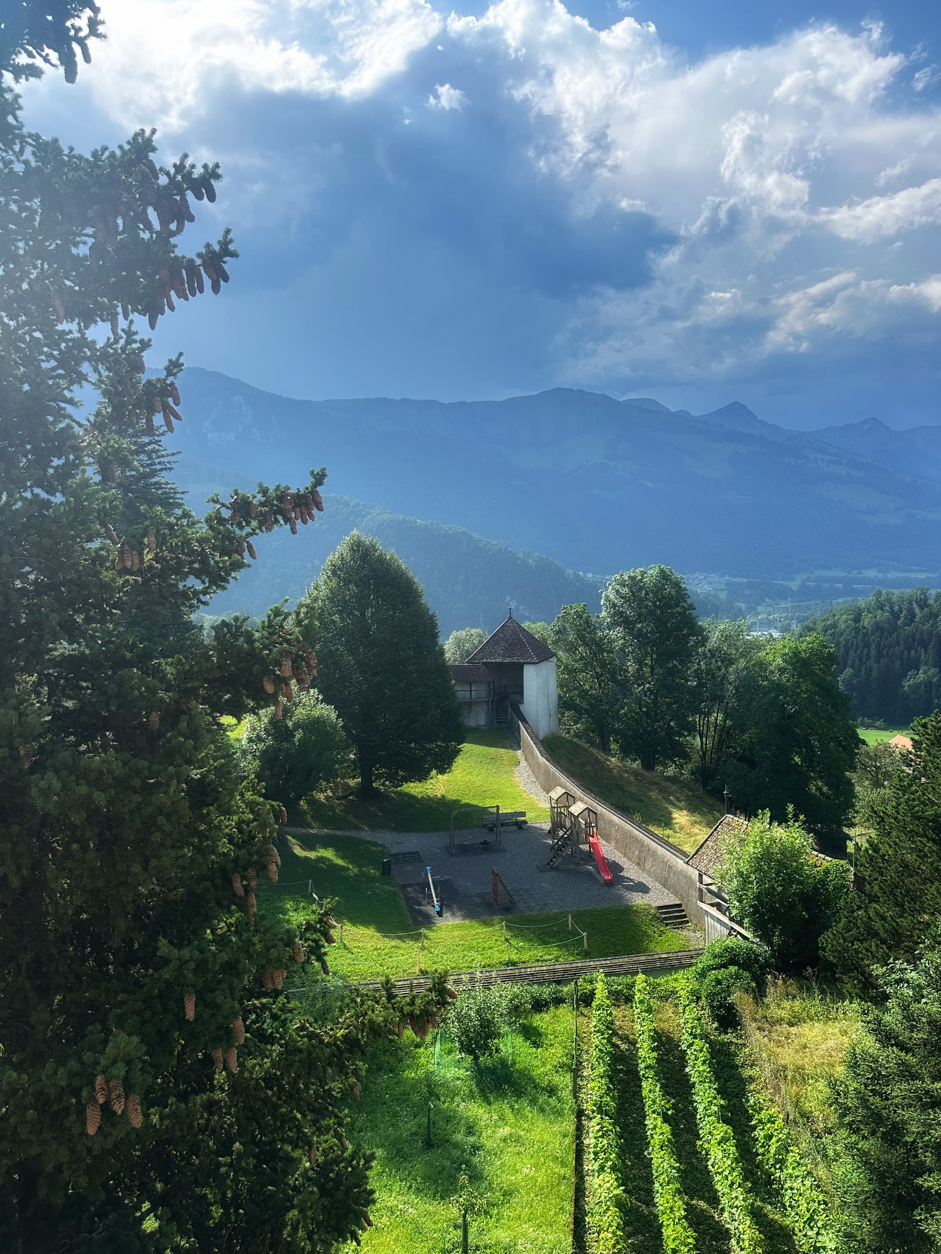 Beautiful view of a small vineyard in a green mountain environment
