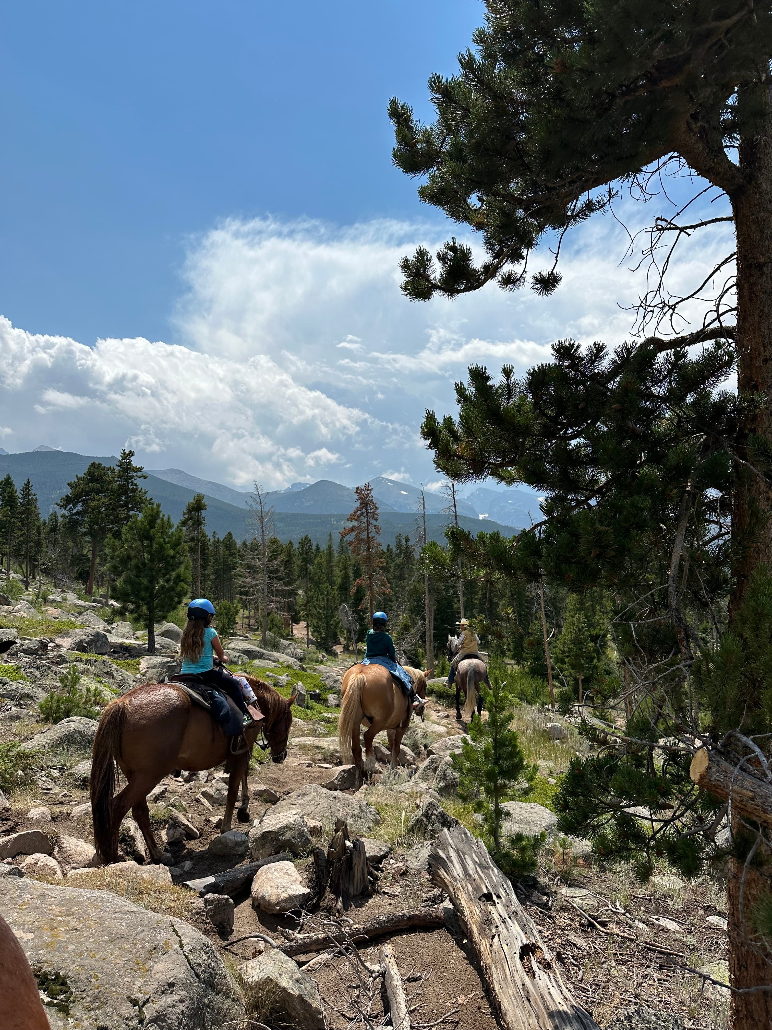 A view of people horseback riding down a rugged hill with pine trees in view and a cloudy blue sky above.