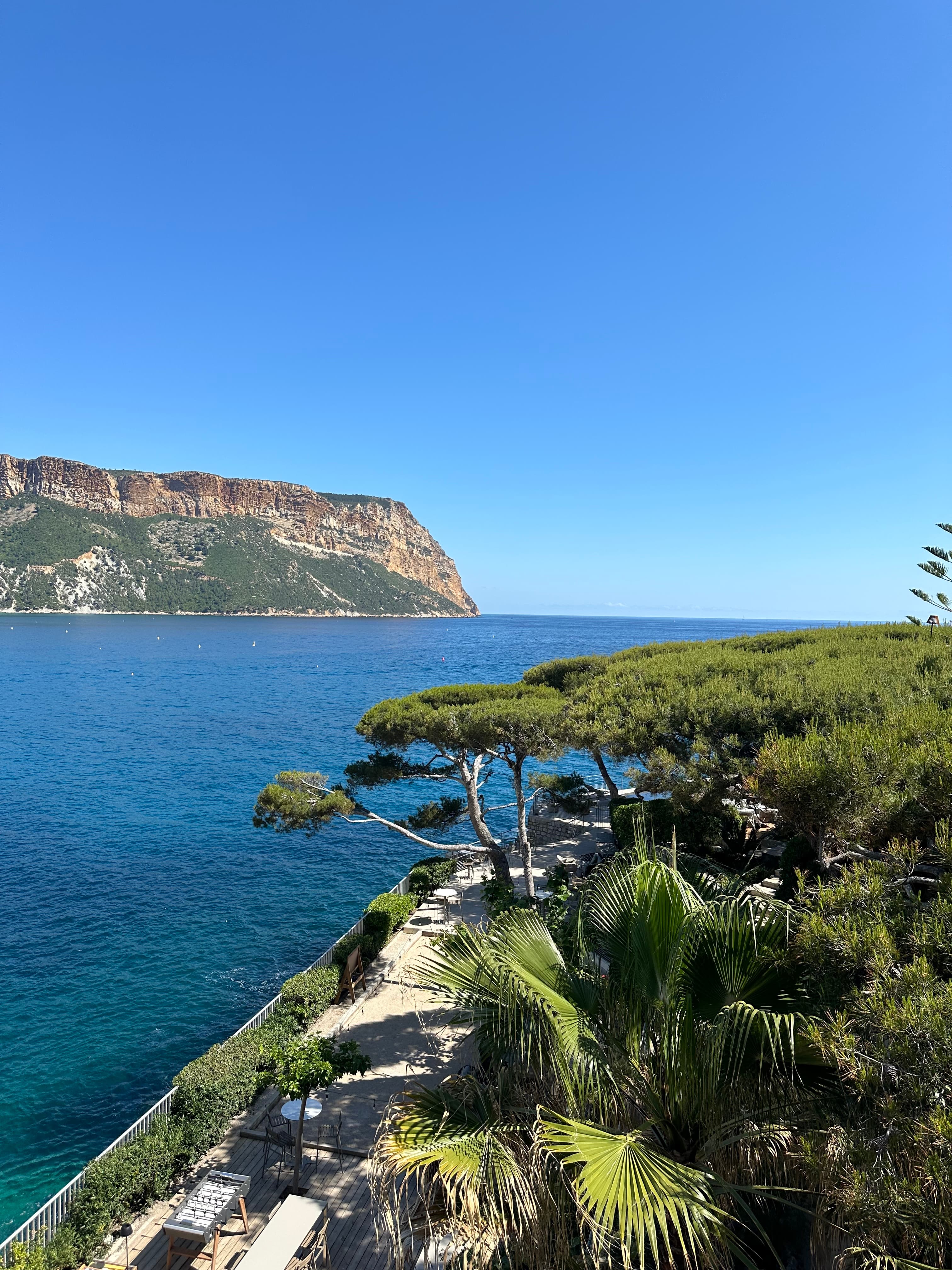 A body of water next to a a group of trees on the shore line