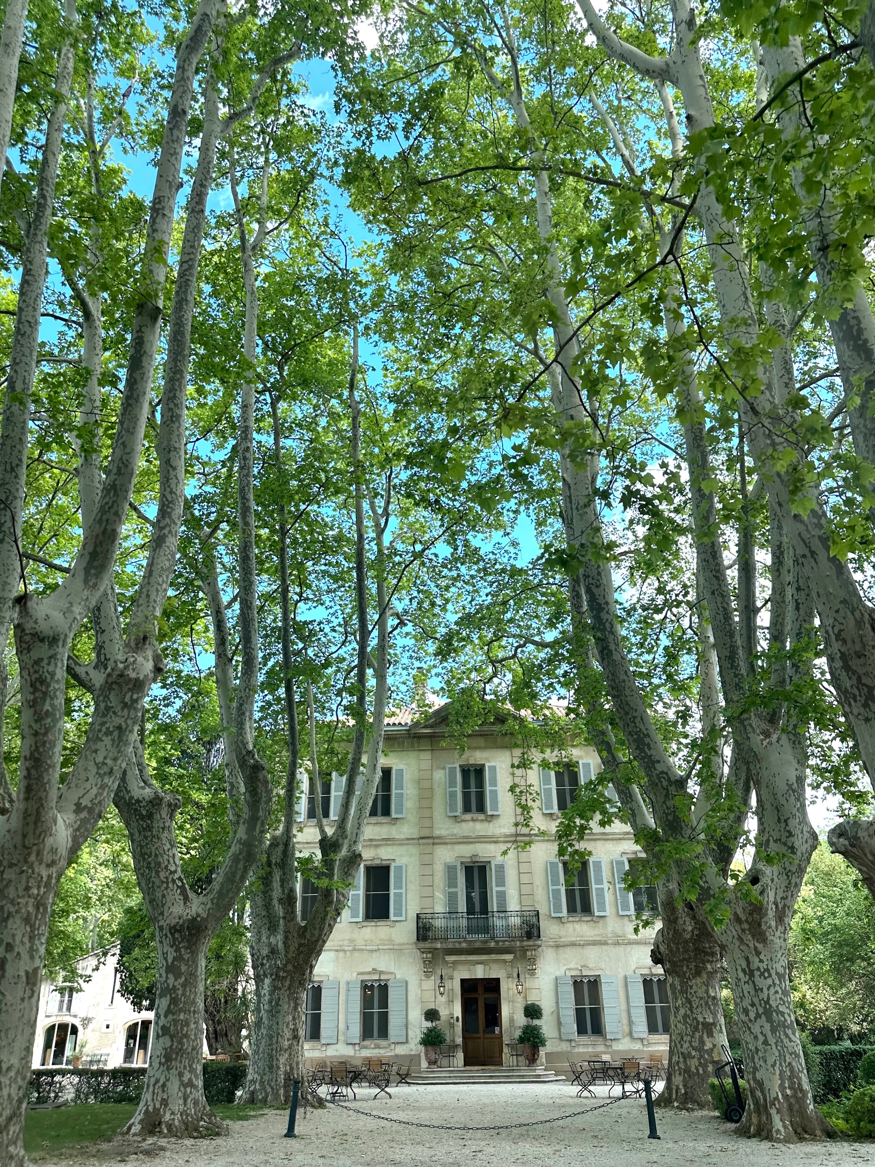 A colonial style building at the end of a pathway surrounded by tall trees