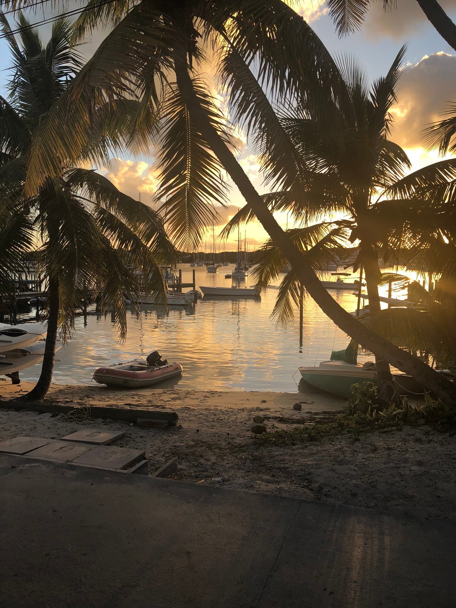 View of a small empty beach with palm trees and a boat on shore at sunset
