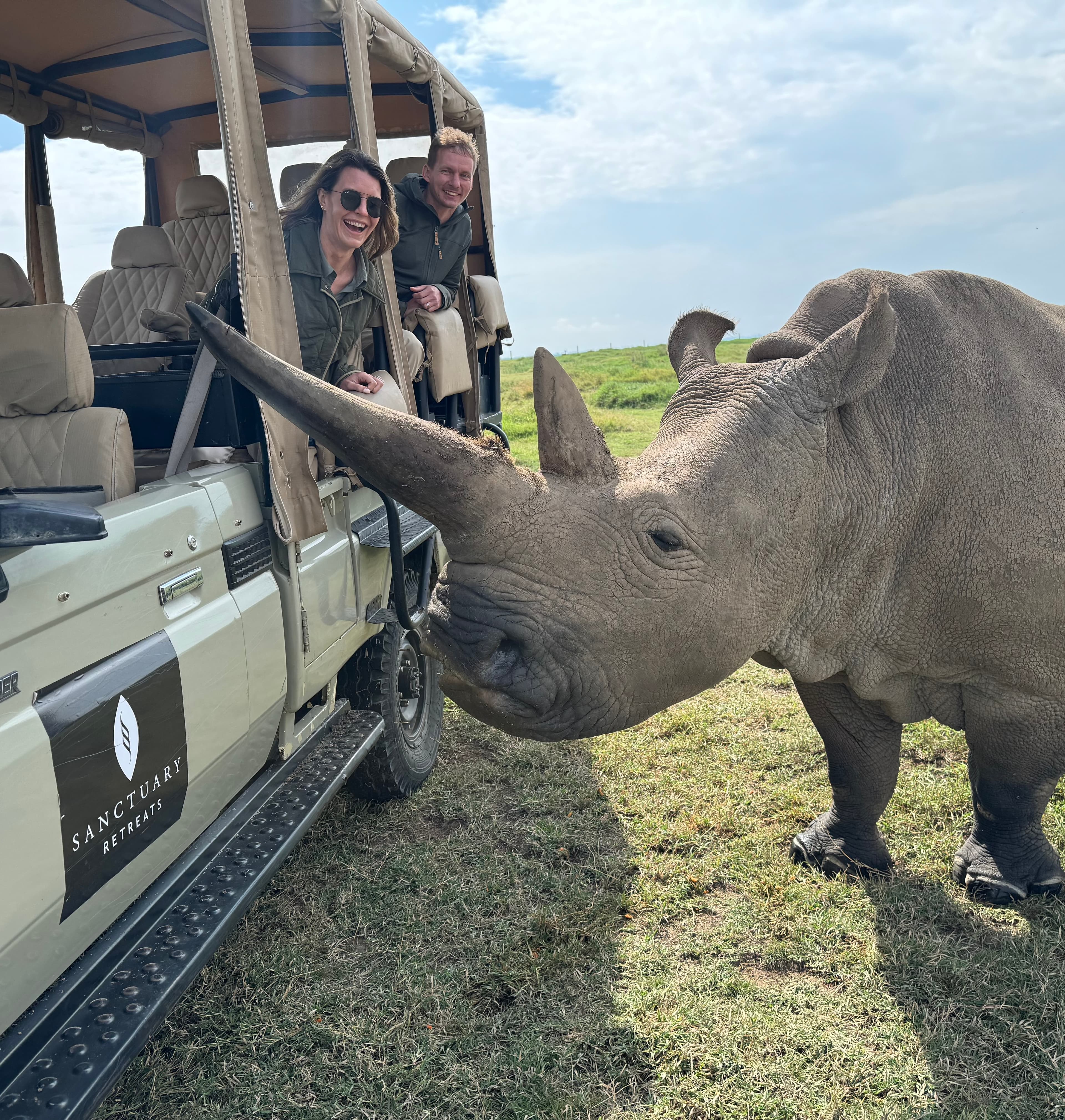 Photo of a rhino outdoors next to a van.