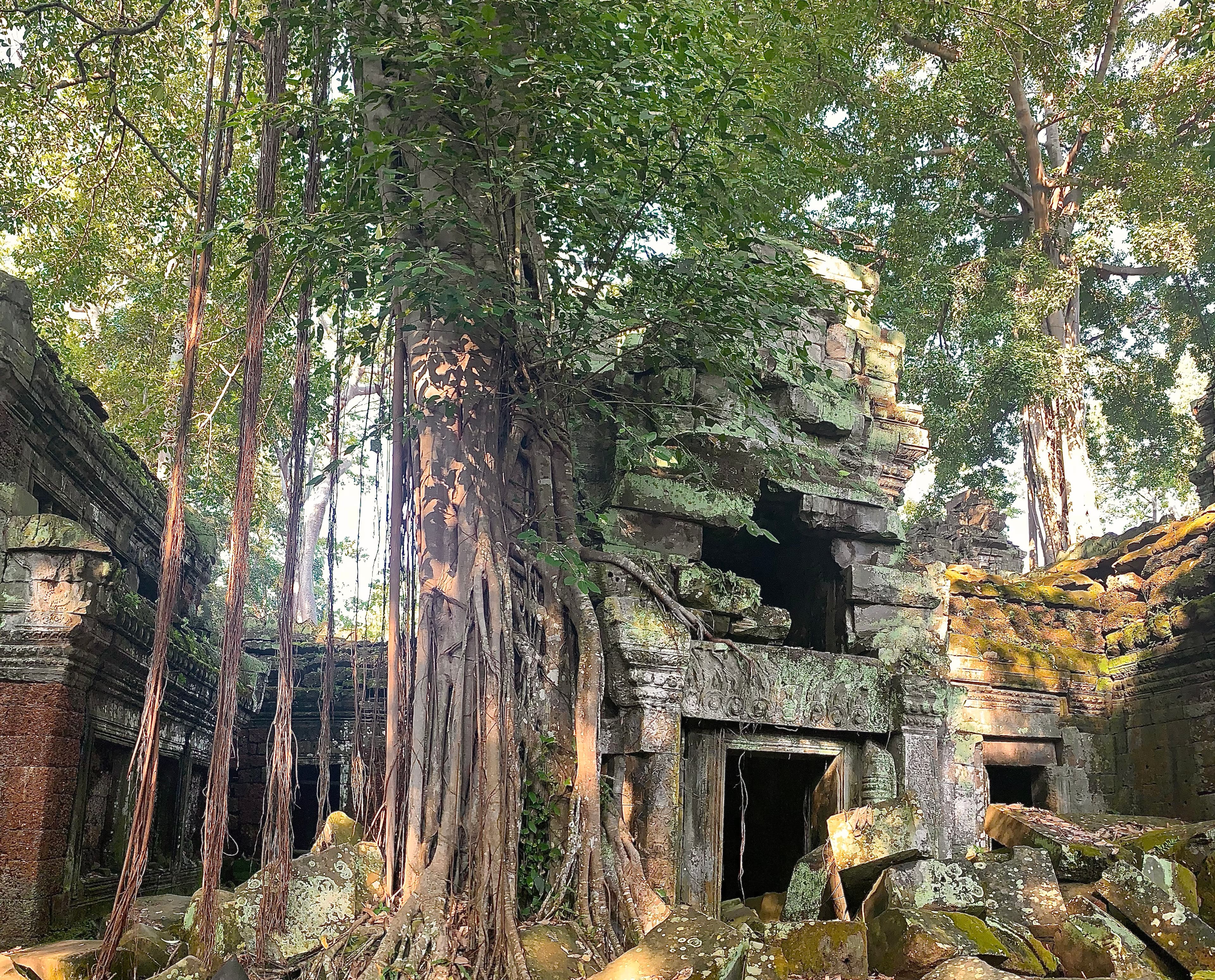 The ancient ruins of Angkor Wat, showcasing intricate stone carvings.