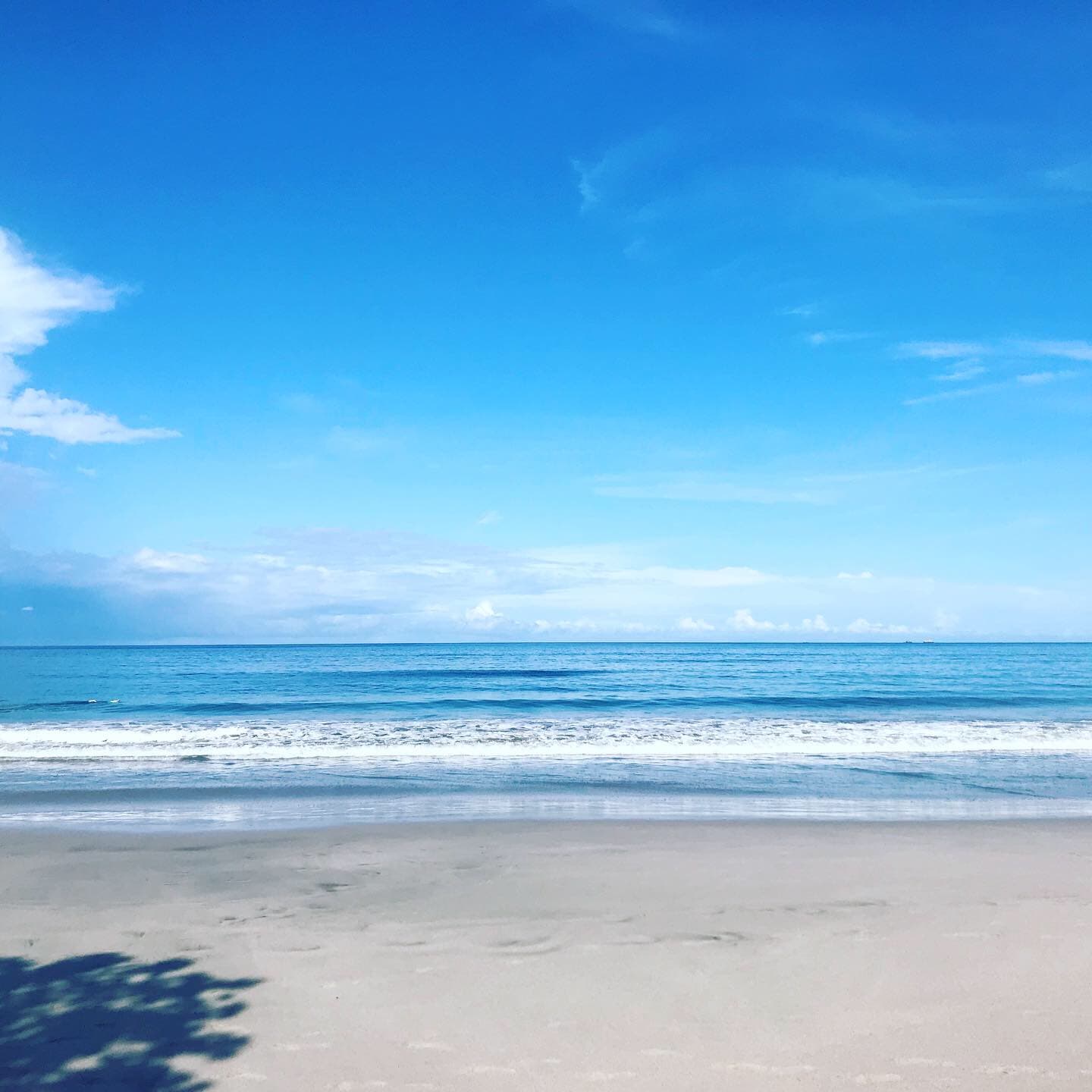 View of the beach during the daytime.