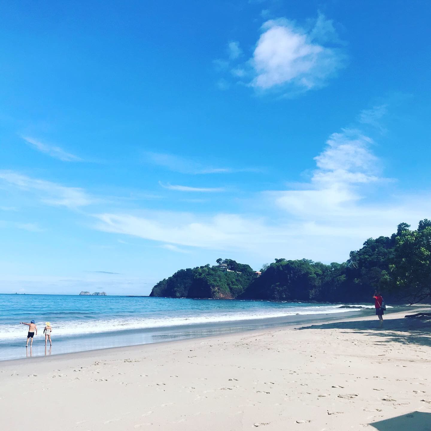 View of the beach during the daytime.